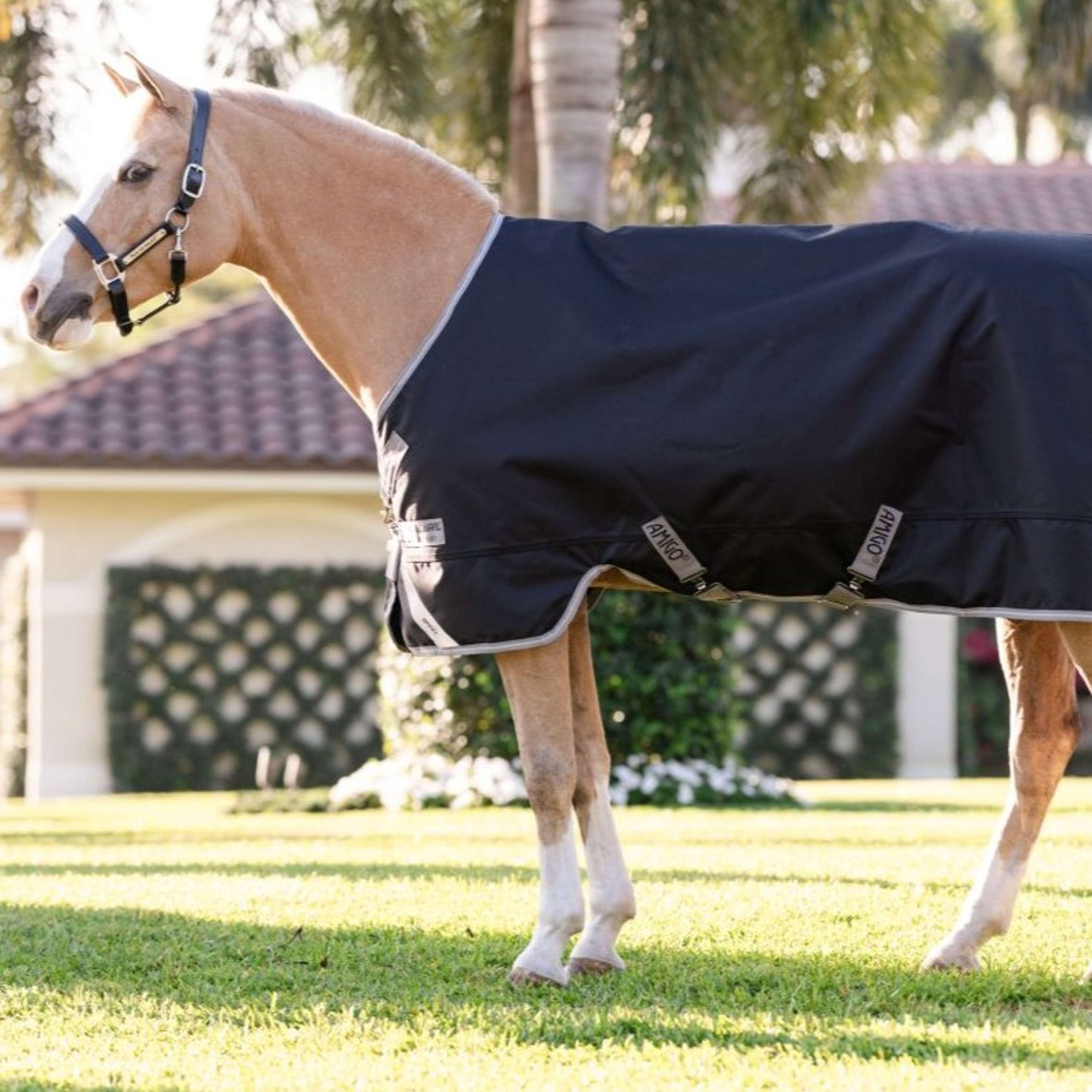 Amigo Chemise Turnout 1200D Pony 50g Noir/Gris Titane/Argent