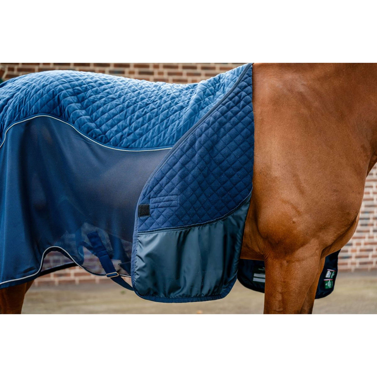 Horseware Travel Cooler Signature Marin