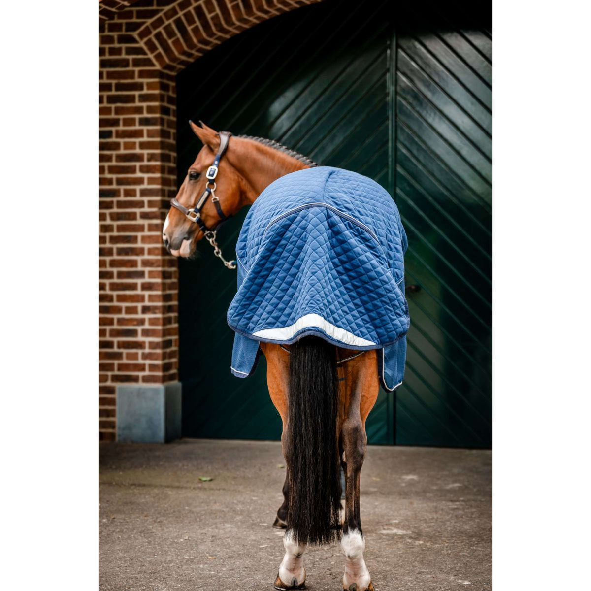 Horseware Travel Cooler Signature Marin