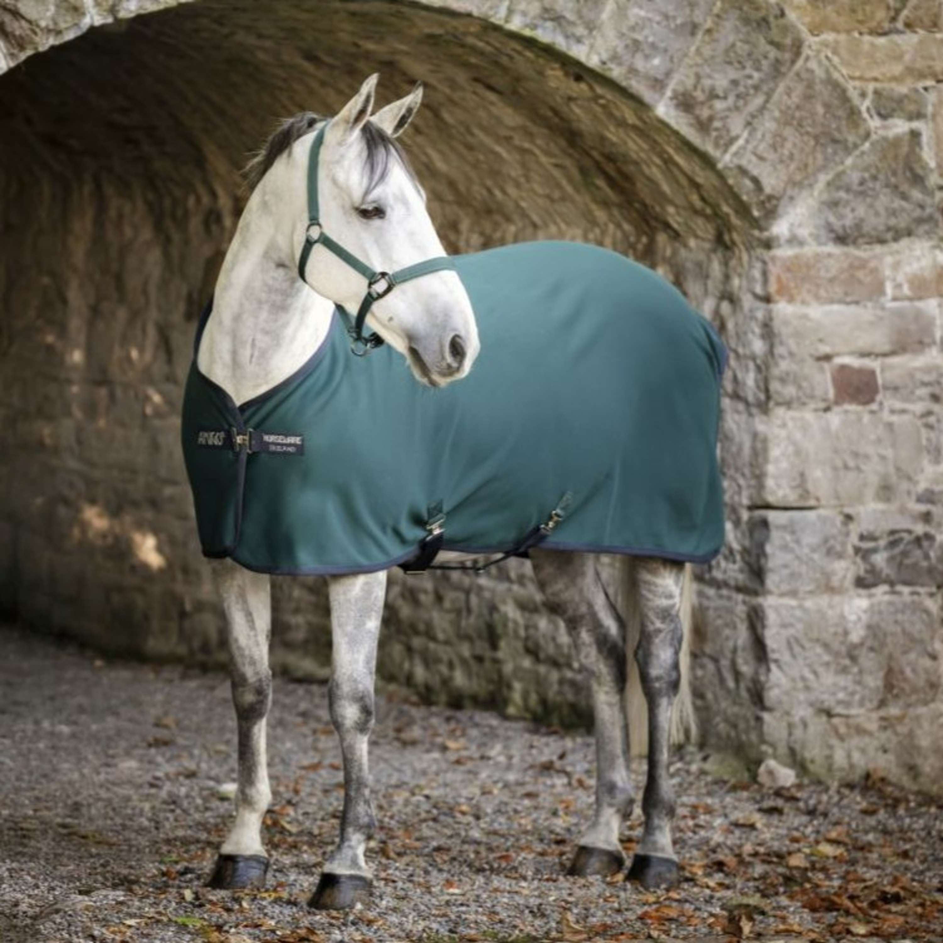 Amigo Chemise Rafraîchissante Jersey Poney Dynasty Green/Navy/Silver