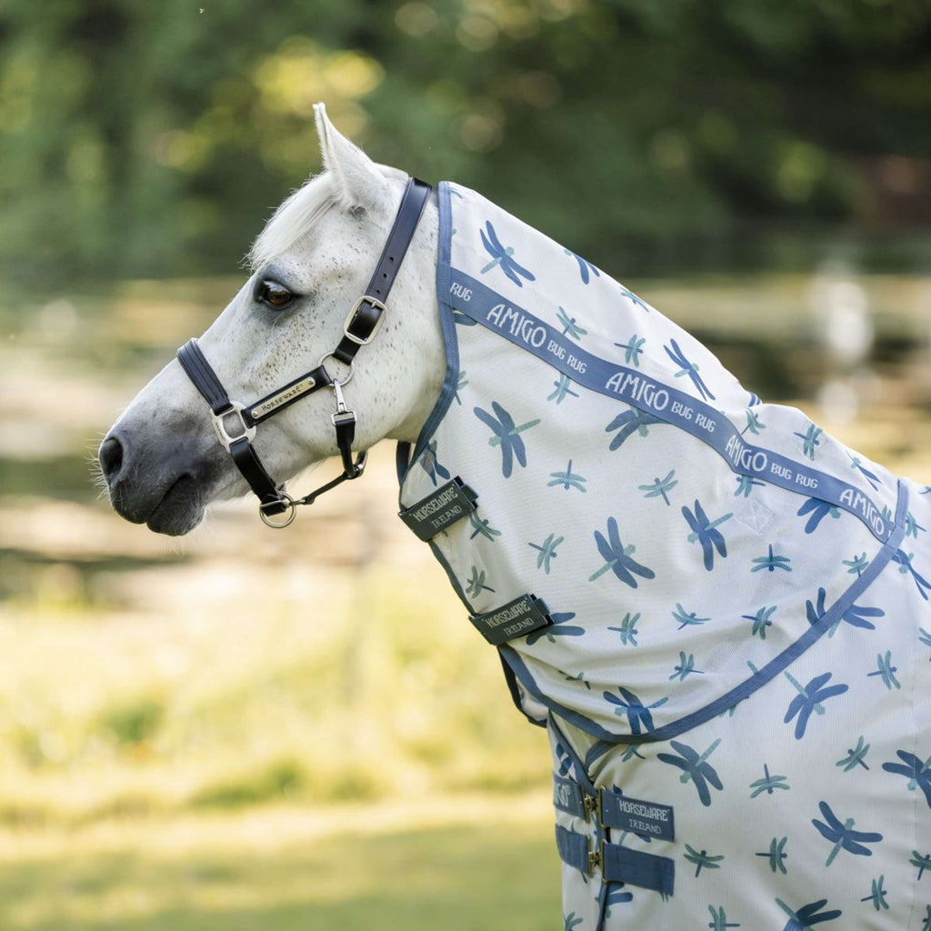 Amigo Couverture Anti-Mouches Plus Pony Dragonfly Print/Silver/Blue/Sage