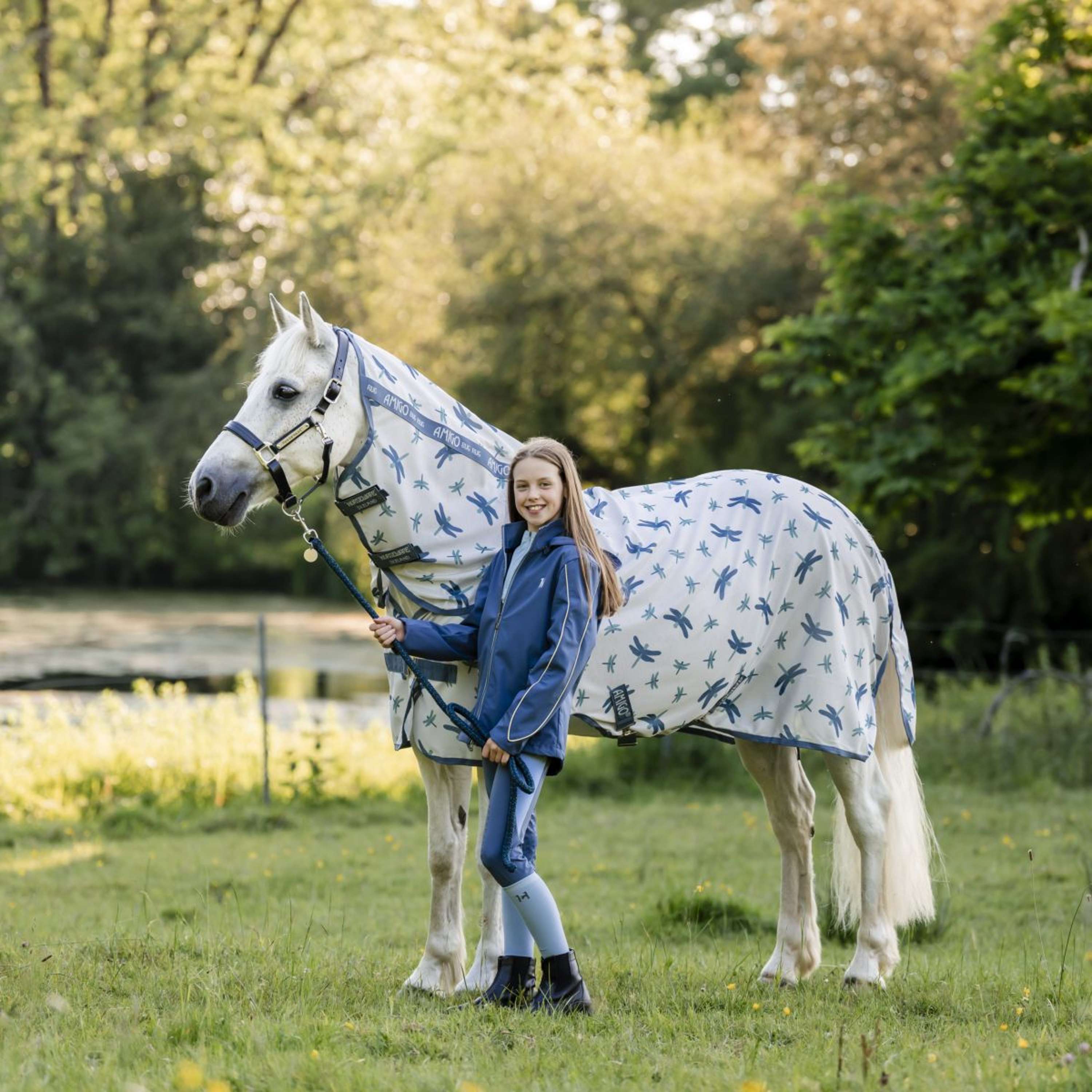 Amigo Couverture Anti-Mouches Plus Pony Dragonfly Print/Silver/Blue/Sage