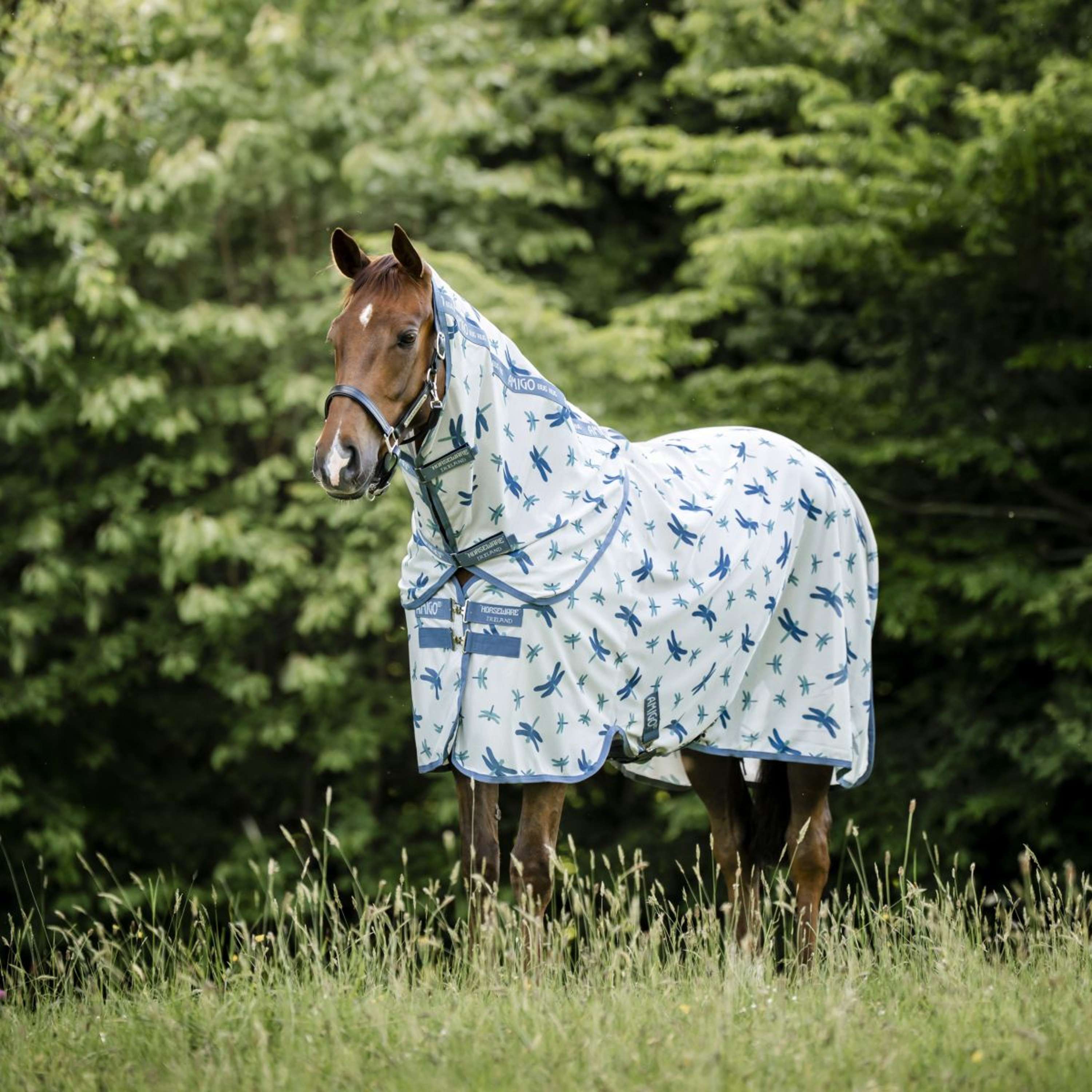Amigo Couverture Anti-Mouches Plus Dragonfly Print/Silver/Blue/Sage