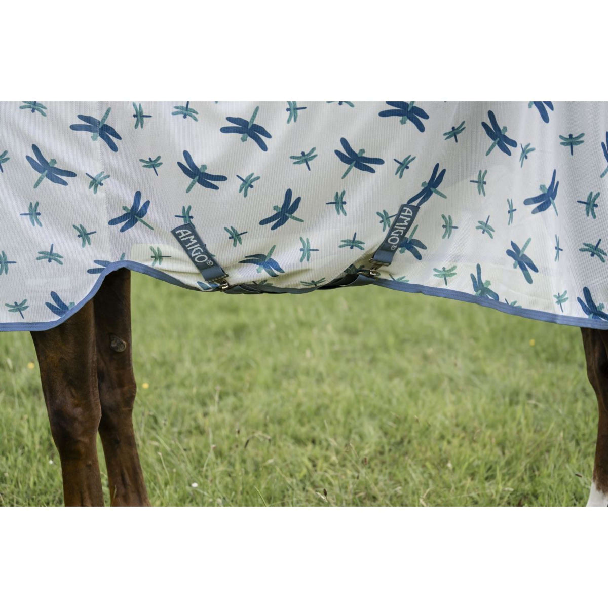 Amigo Couverture Anti-Mouches Pony Dragonfly Print/Silver/Blue/Sage