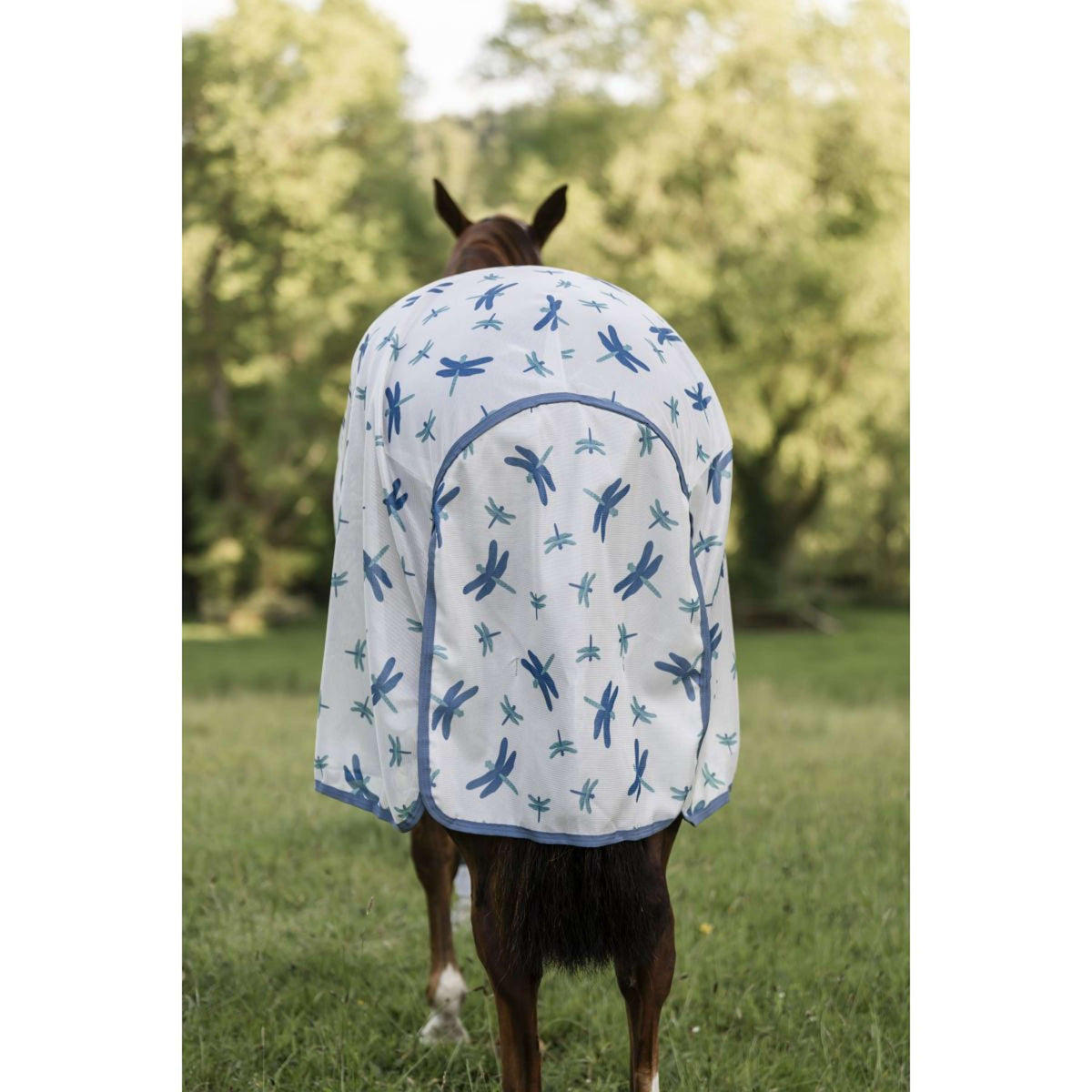 Amigo Couverture Anti-Mouches Pony Dragonfly Print/Silver/Blue/Sage