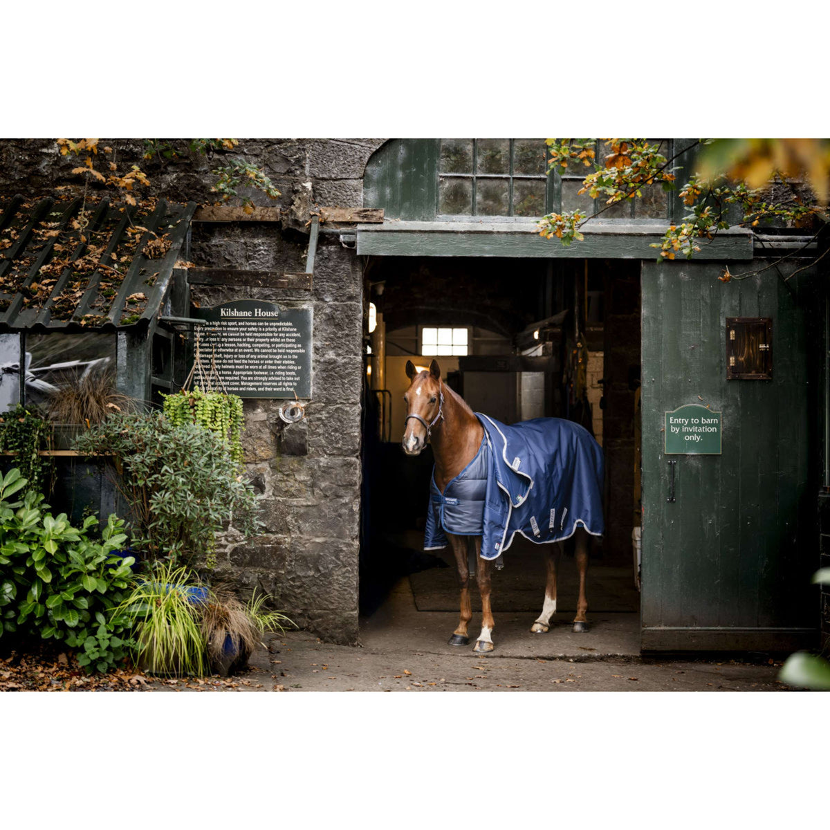 Horseware Couverture 50g Marine
