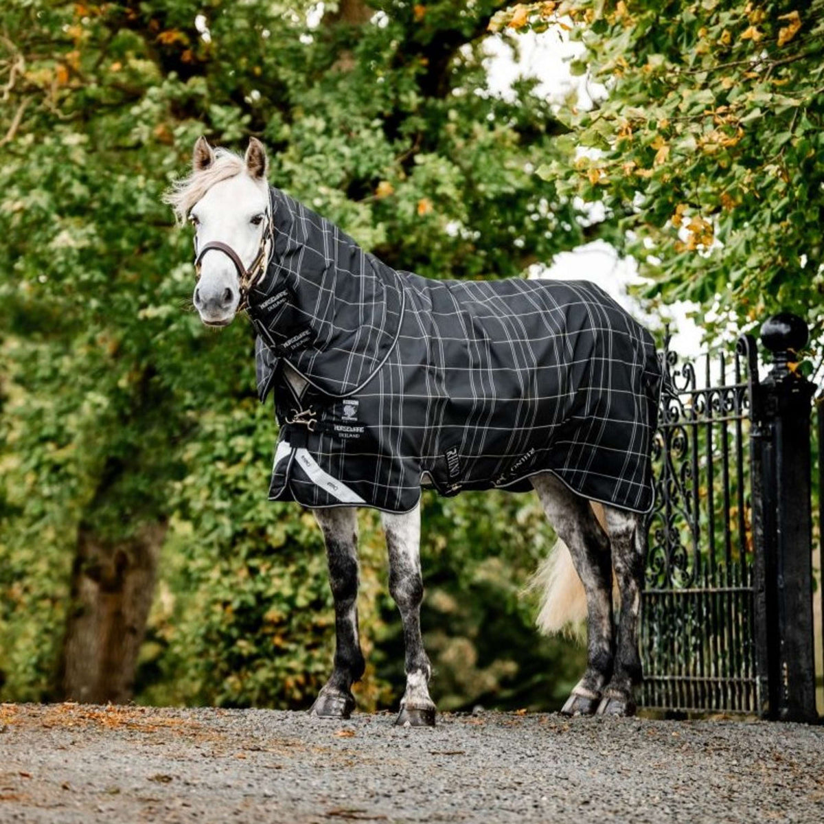 Rhino Chemise Turnout Plus Pony Bundle 0g + 200g Black Check/Noir/Blanc