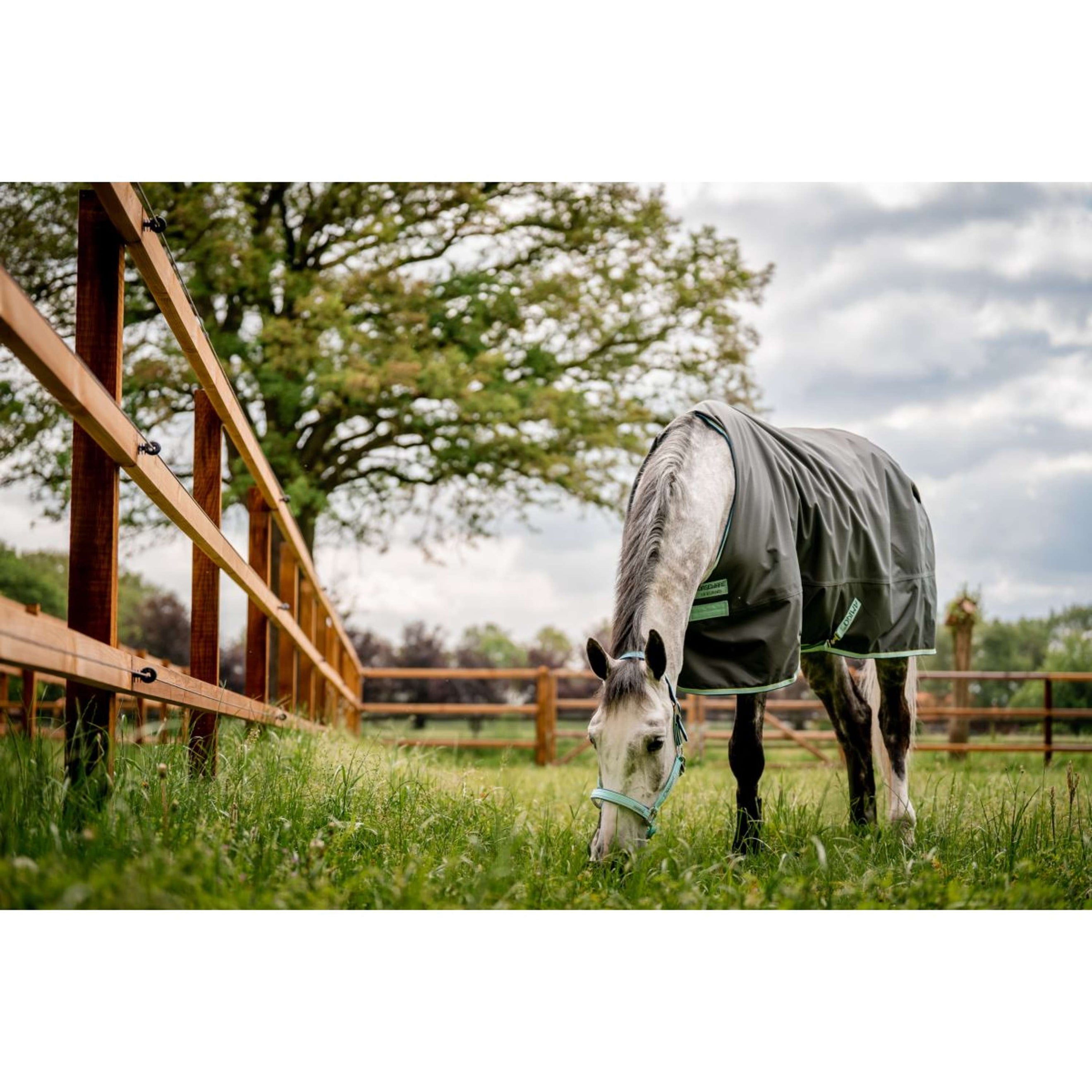 Horseware Licol Field Safe Blue Haze Horseware Licol Field Safe Blue Haze