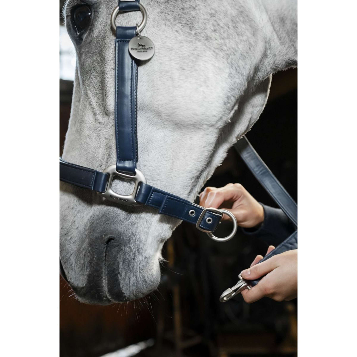 Horseware Licol Grooming Marin