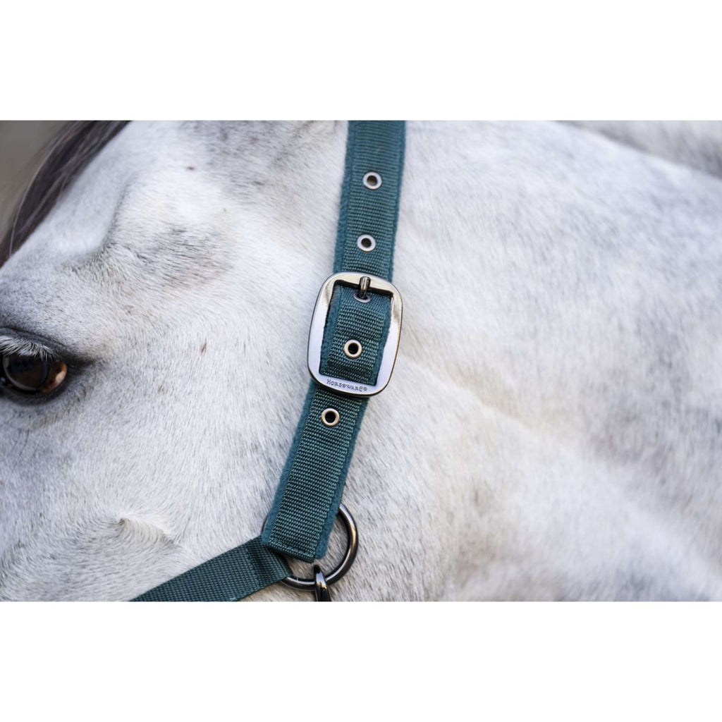 Amigo Licol et Longe Dynasty Green