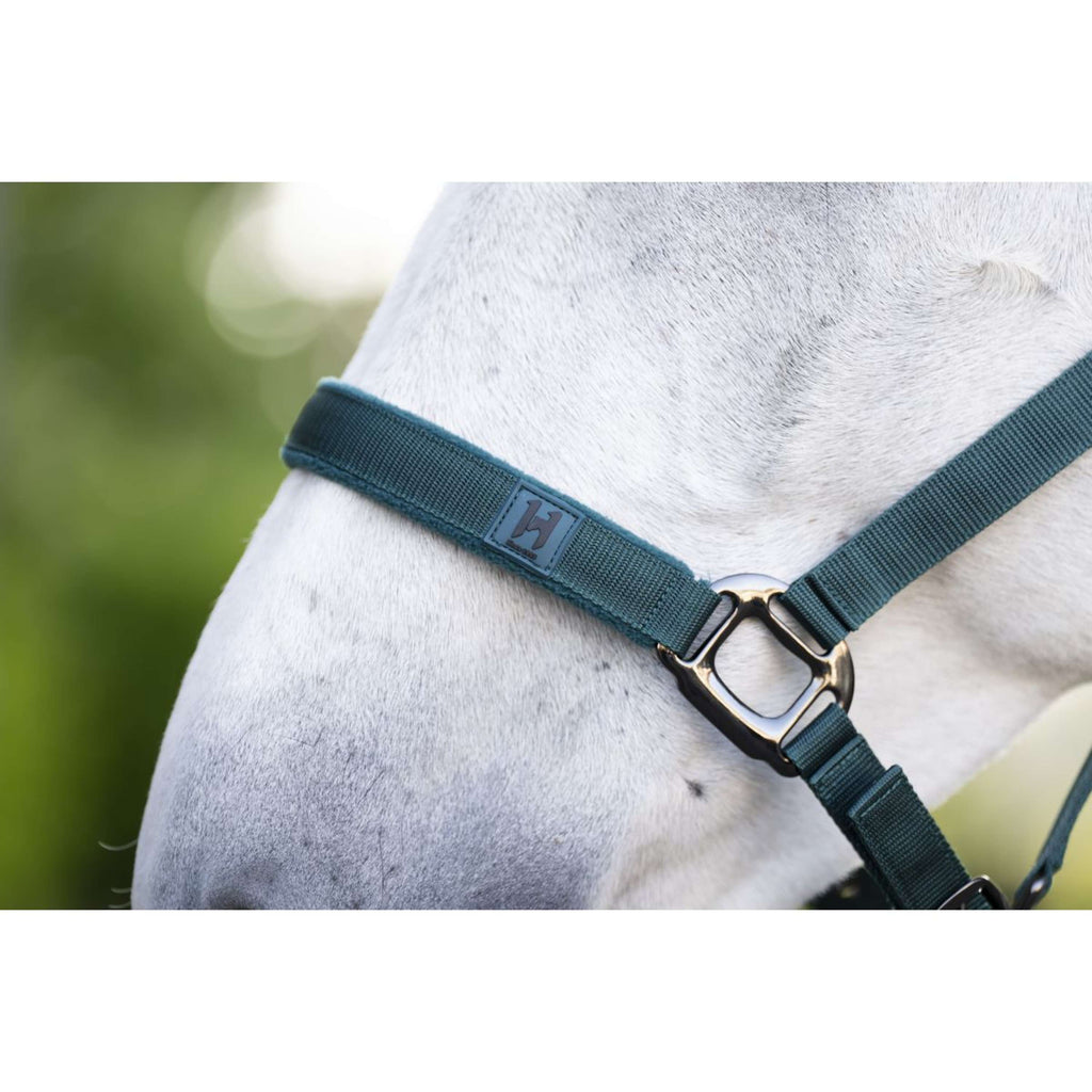 Amigo Licol et Longe Dynasty Green
