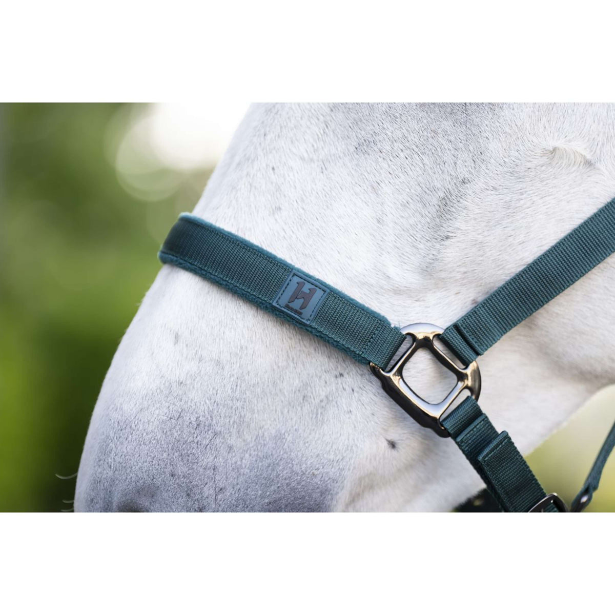 Amigo Licol et Longe Dynasty Green