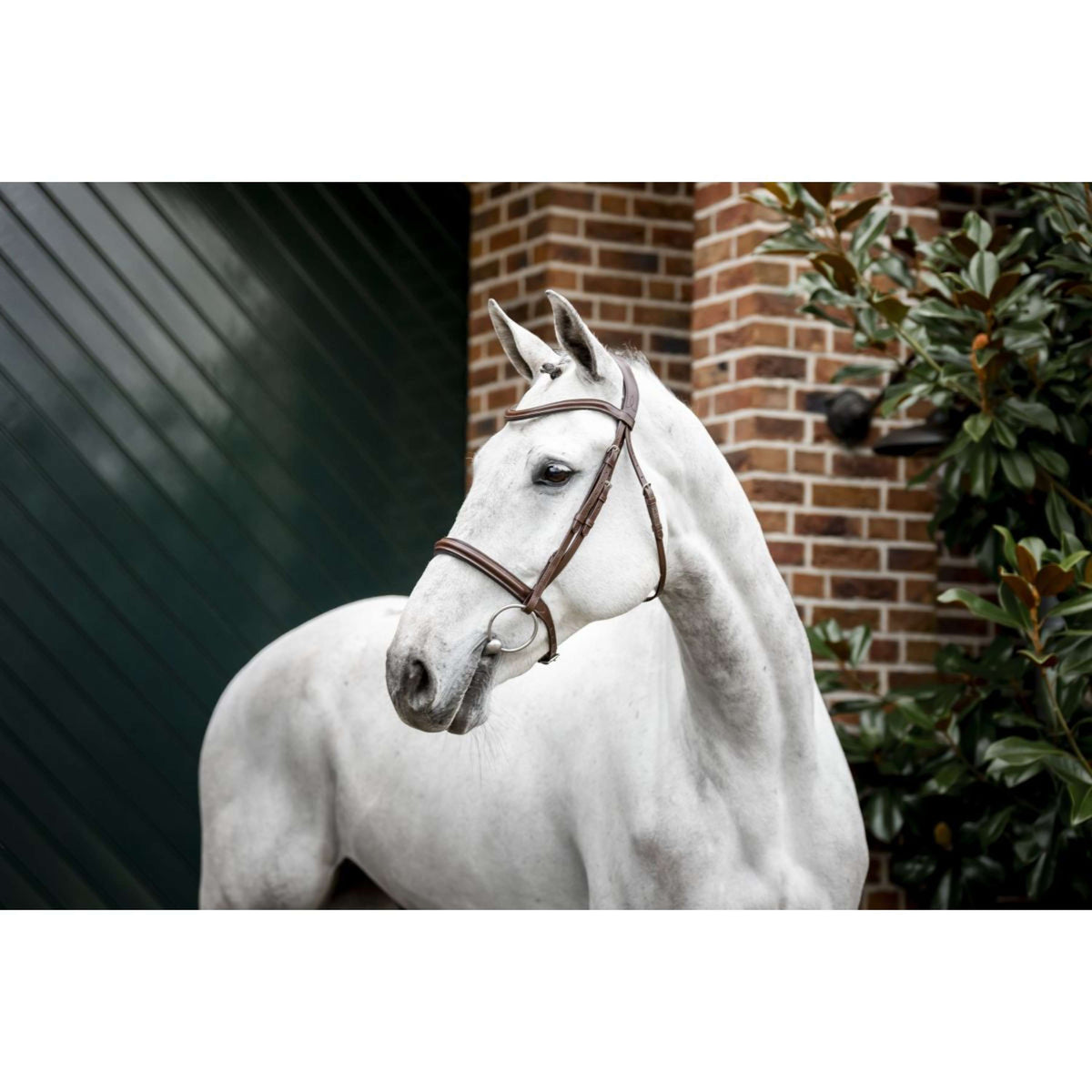 Horseware Bride Pony Cavesson Marron