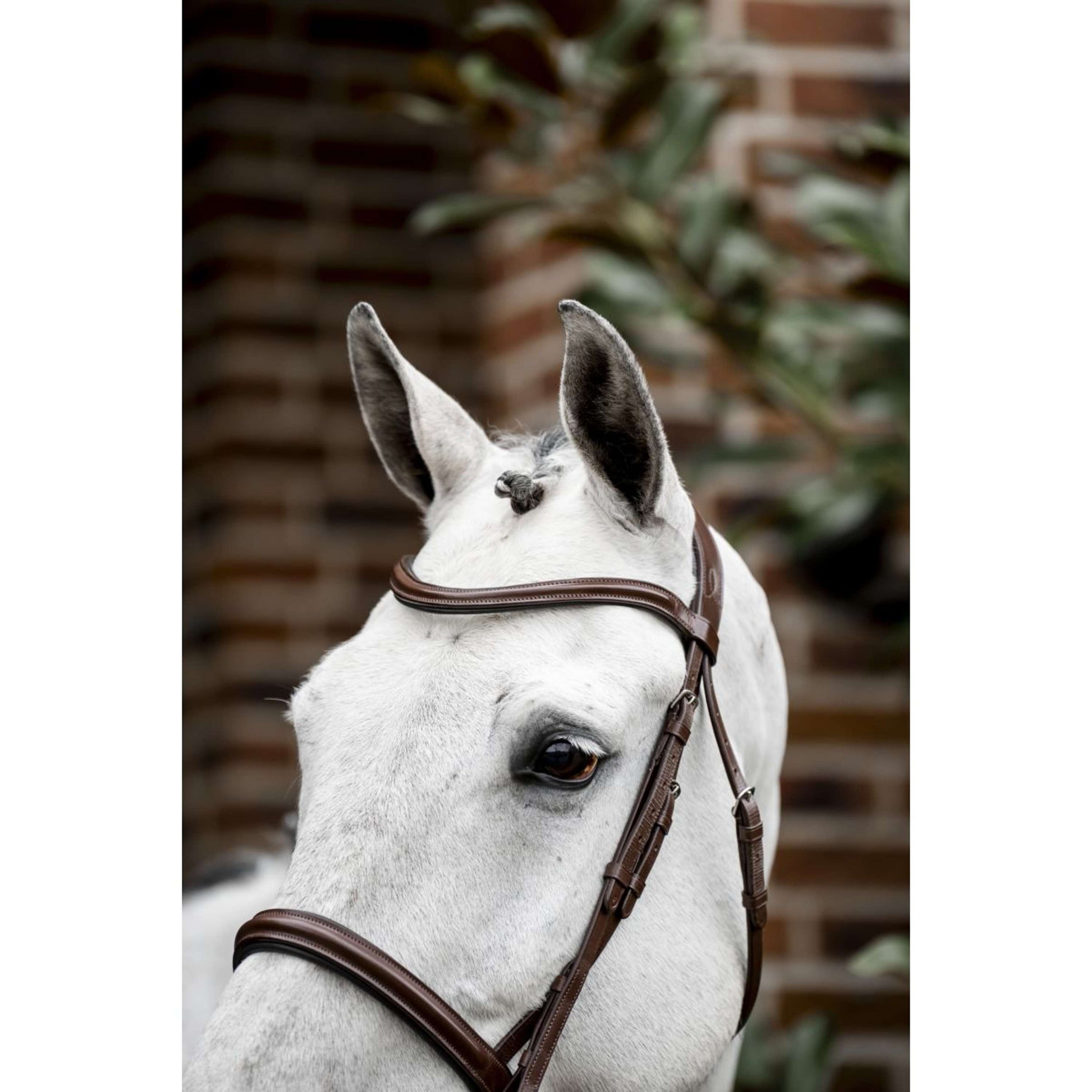 Horseware Bride Pony Cavesson Marron Horseware Bride Pony Cavesson Marron