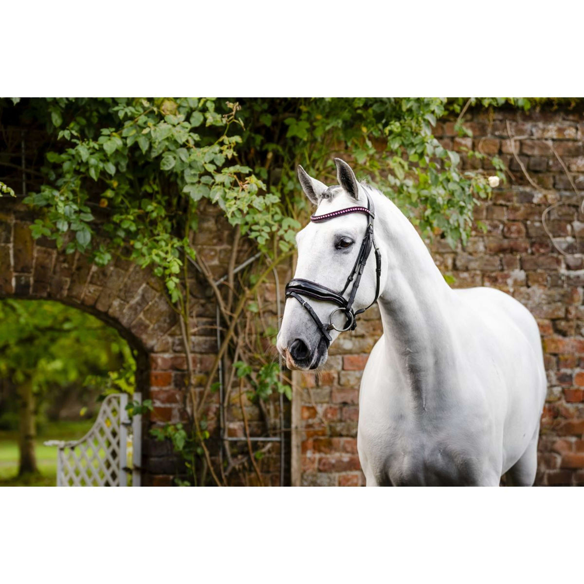 Horseware Bride Diamante Noir/Rose