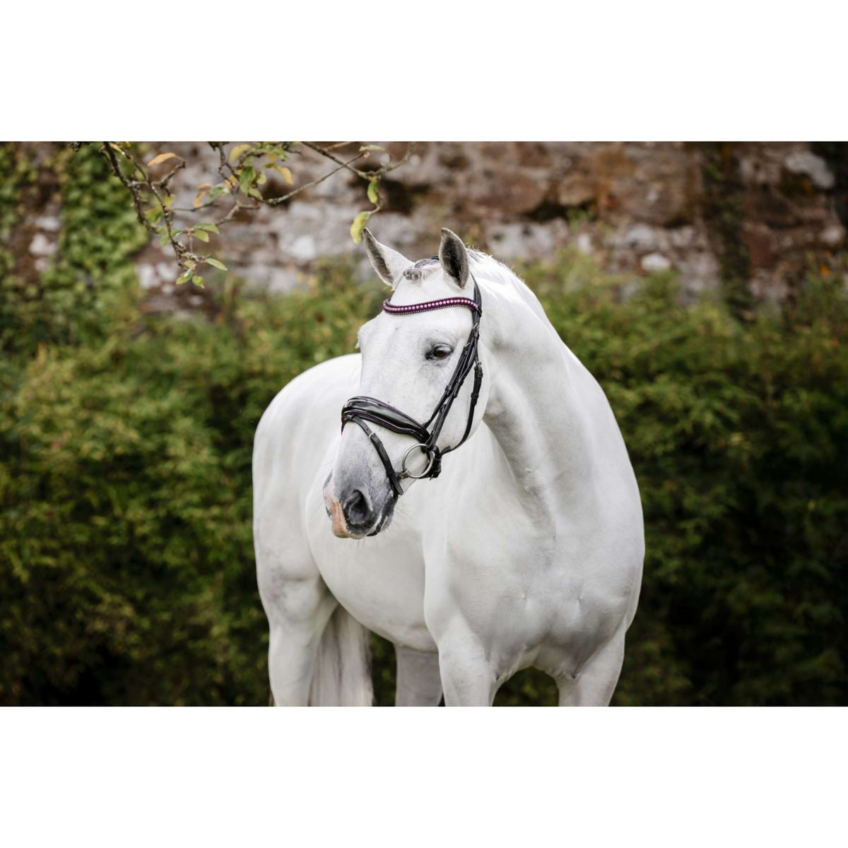 Horseware Bride Diamante Noir/Rose