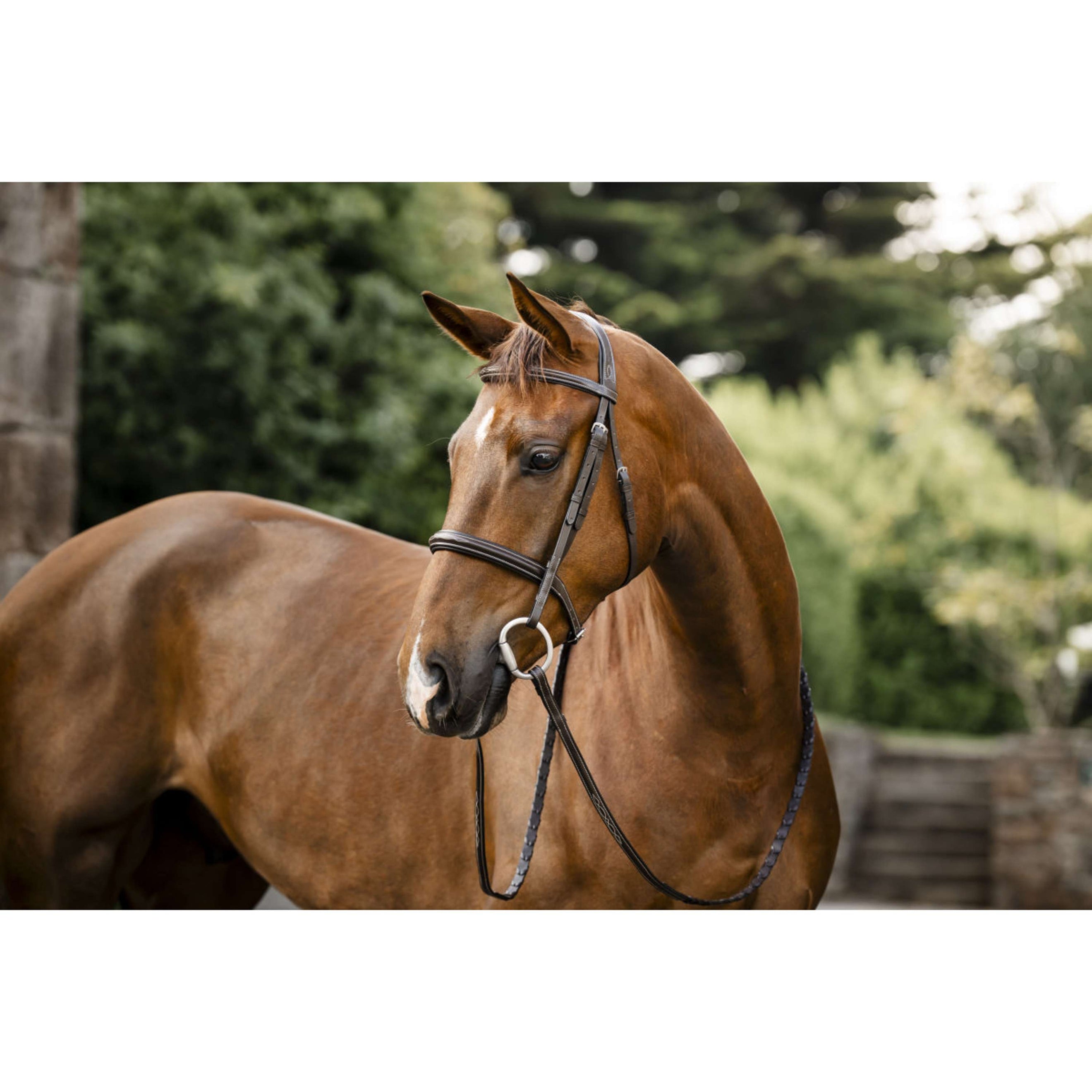 Horseware Bride Hunter Havana Brown Horseware Bride Hunter Havana Brown
