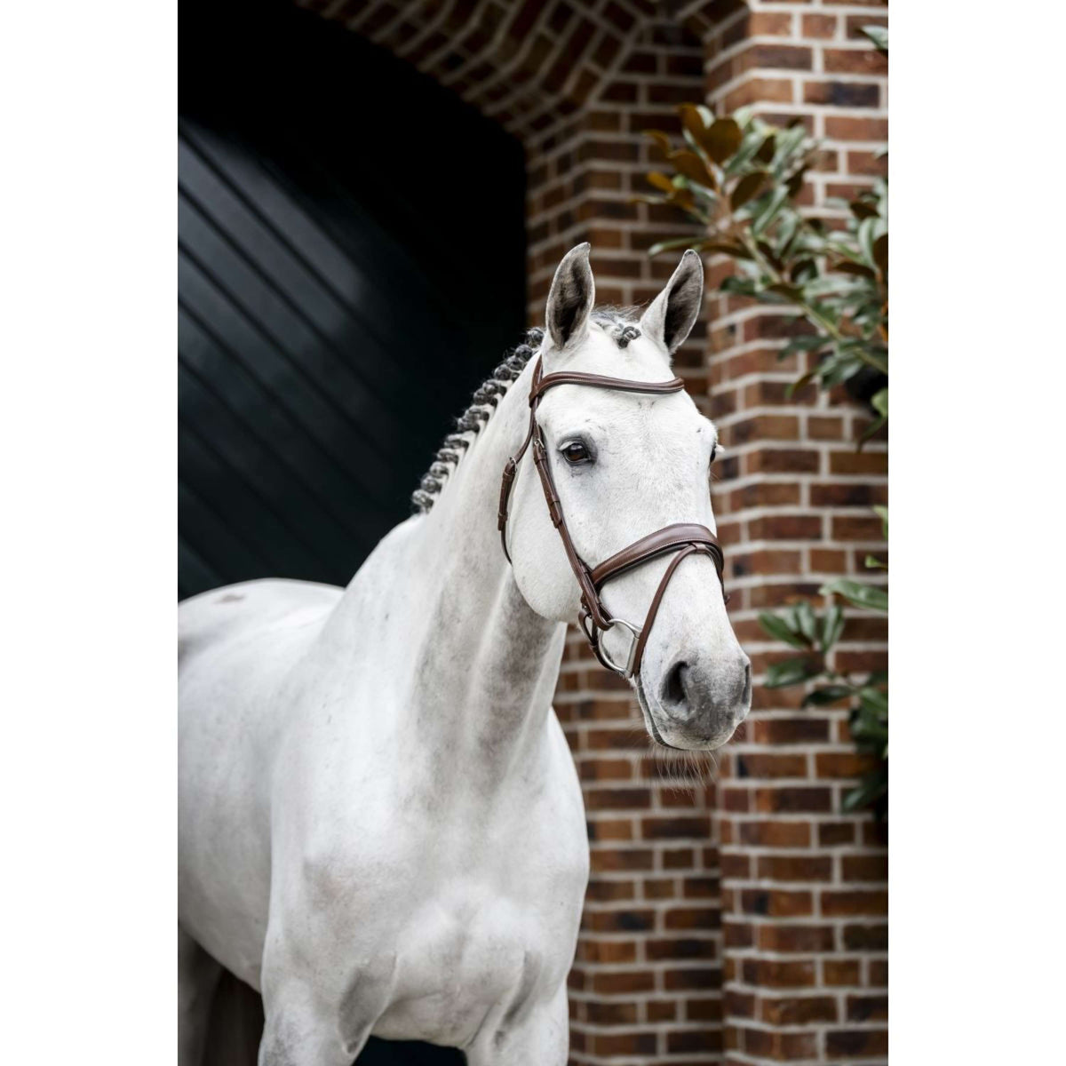 Horseware Bride Dressage Marron