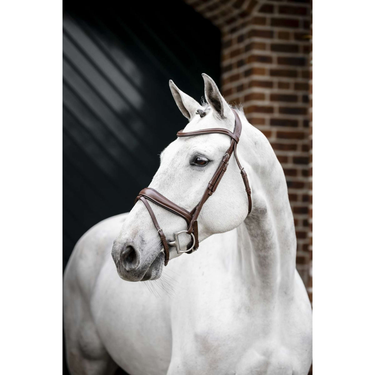 Horseware Bride Dressage Marron
