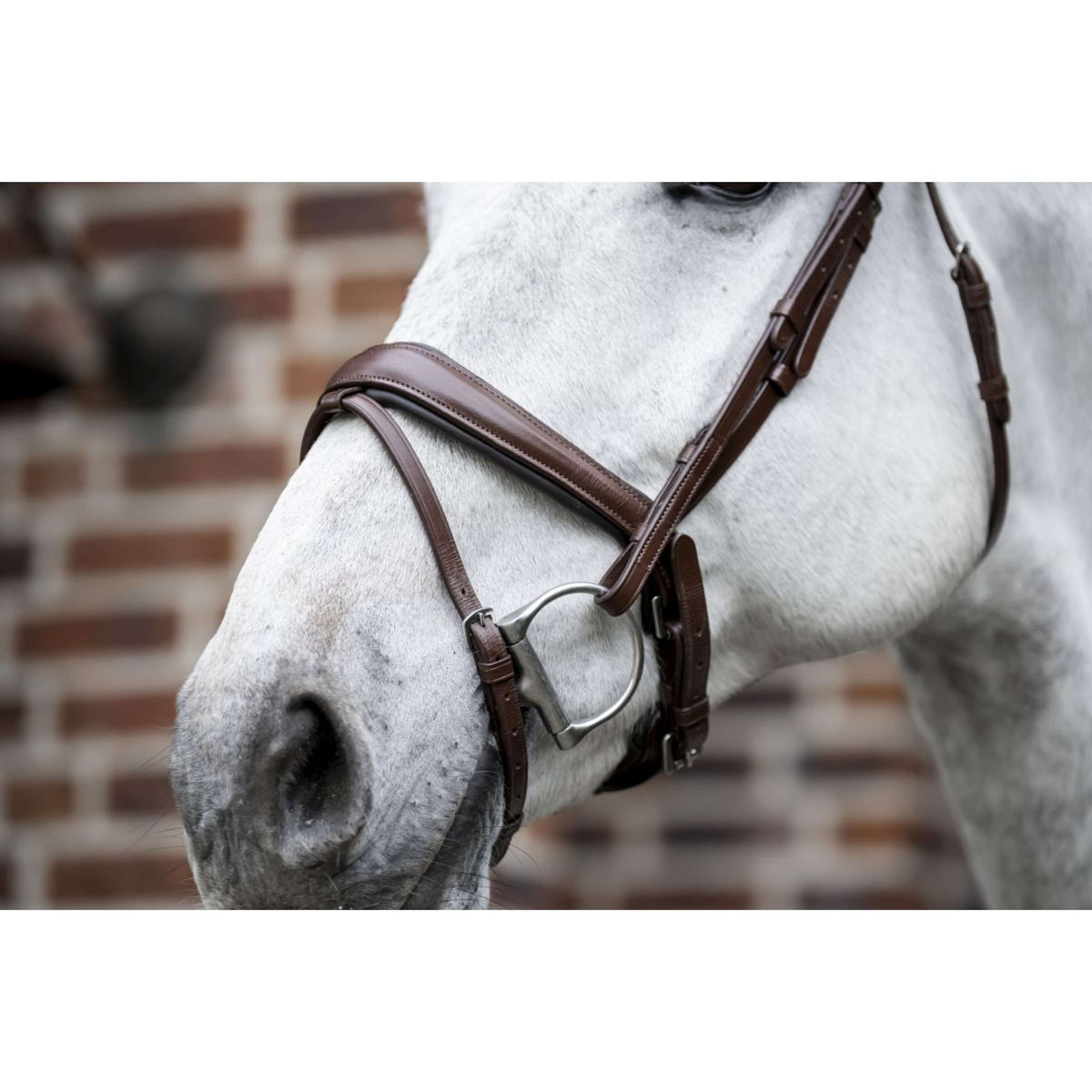 Horseware Bride Dressage Marron