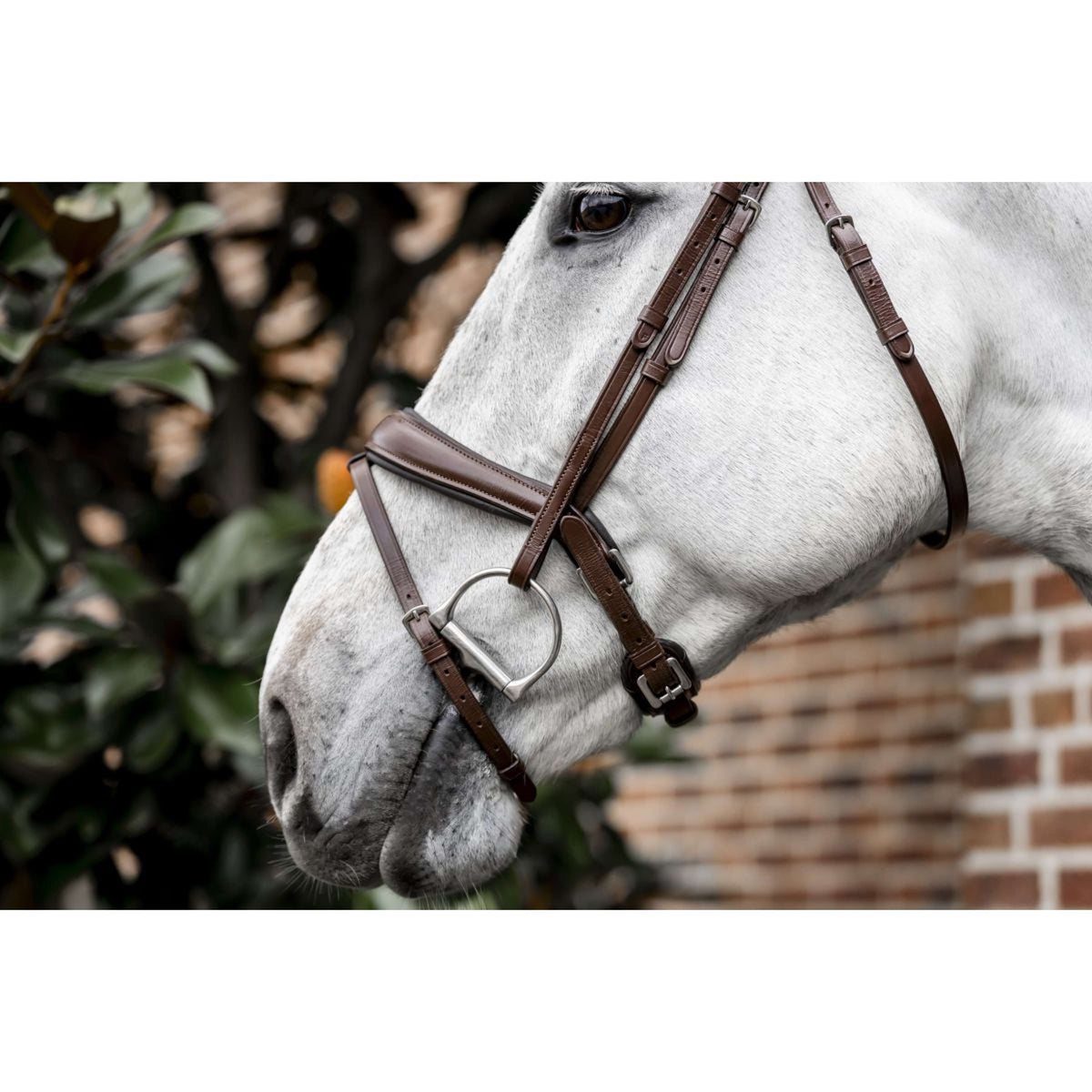 Horseware Bride Dressage Marron