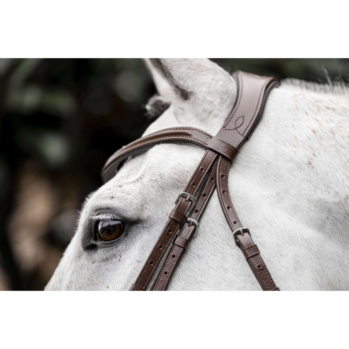 Horseware Bride Dressage Marron