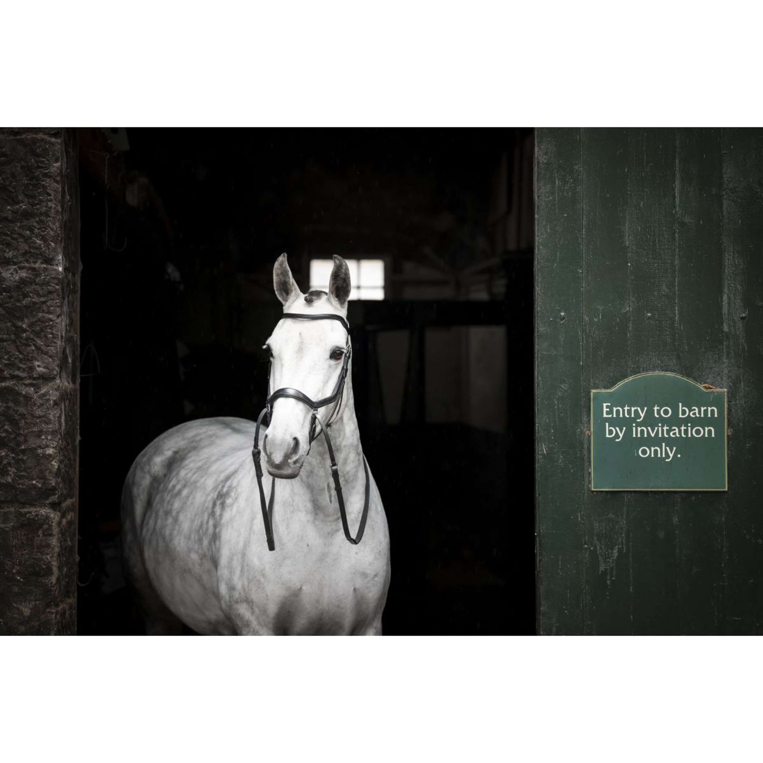 Horseware Micklem Bitless Bridle Noir Horseware Micklem Bitless Bridle Noir