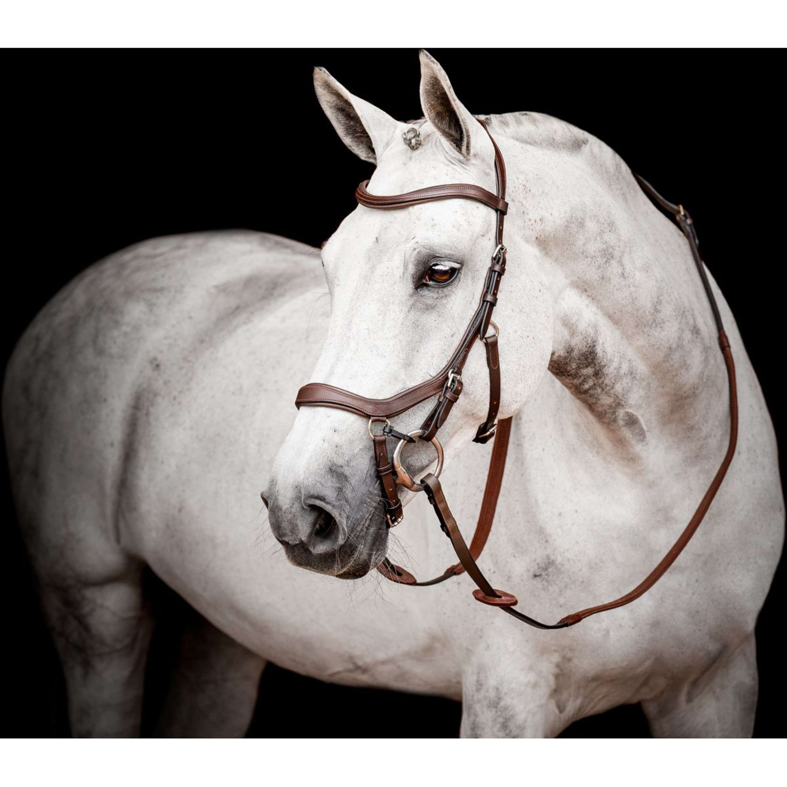 Horseware Micklem Competition Bridle Nouveau Dark Havana Horseware Micklem Competition Bridle Nouveau Dark Havana