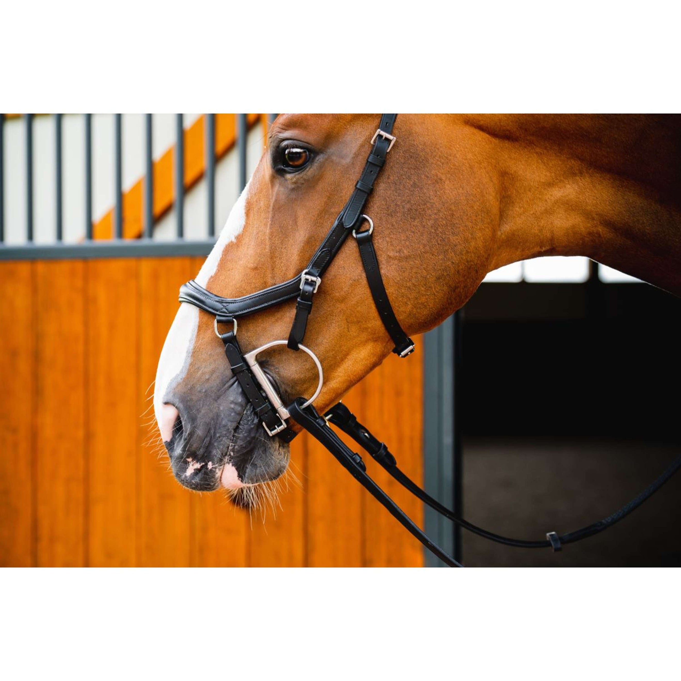 Horseware Micklem Diamond Competition Bridle Nouveau Noir Horseware Micklem Diamond Competition Bridle Nouveau Noir