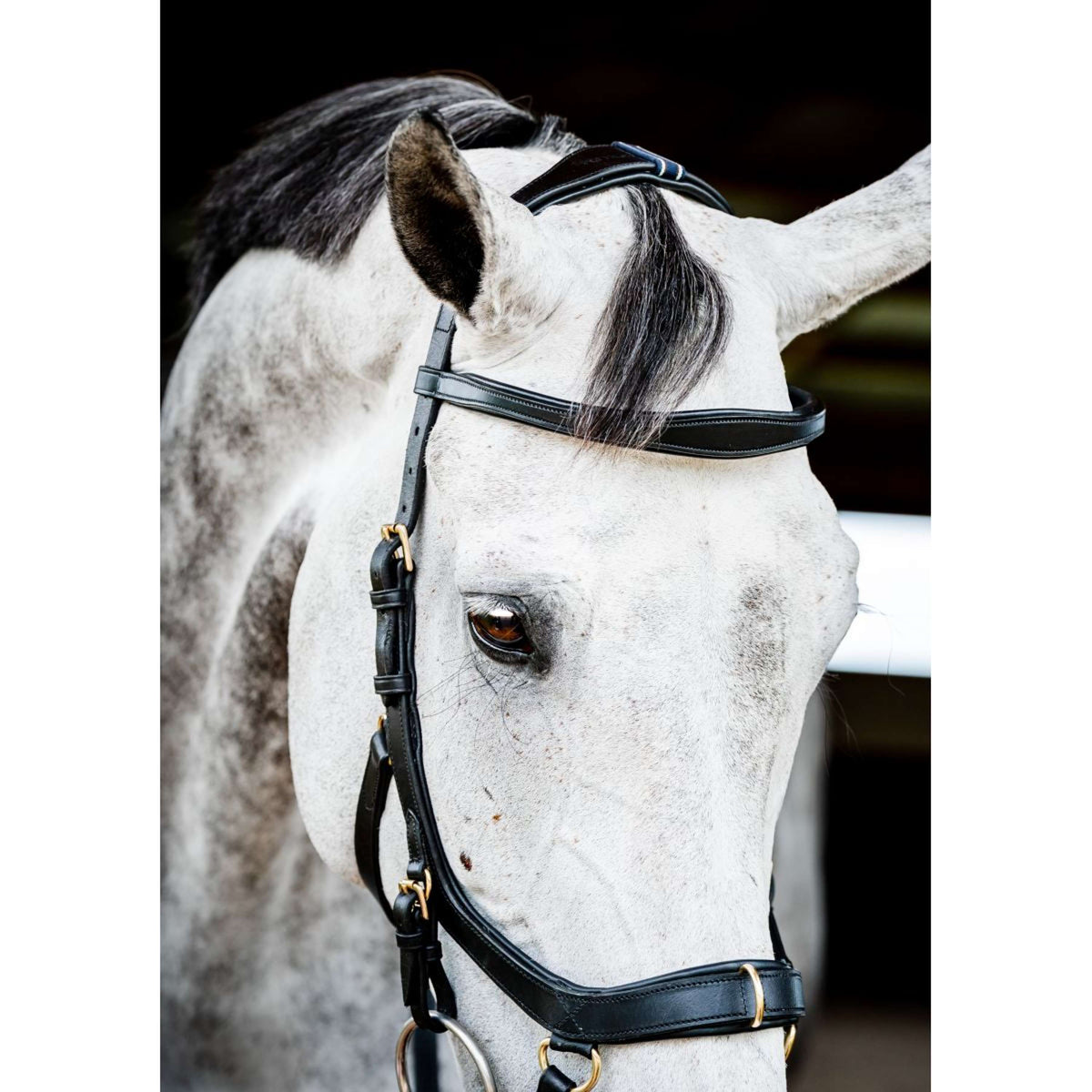 Horseware Micklem Multi Bridle Nouveau Noir