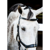 Horseware Micklem Multi Bridle Nouveau Noir