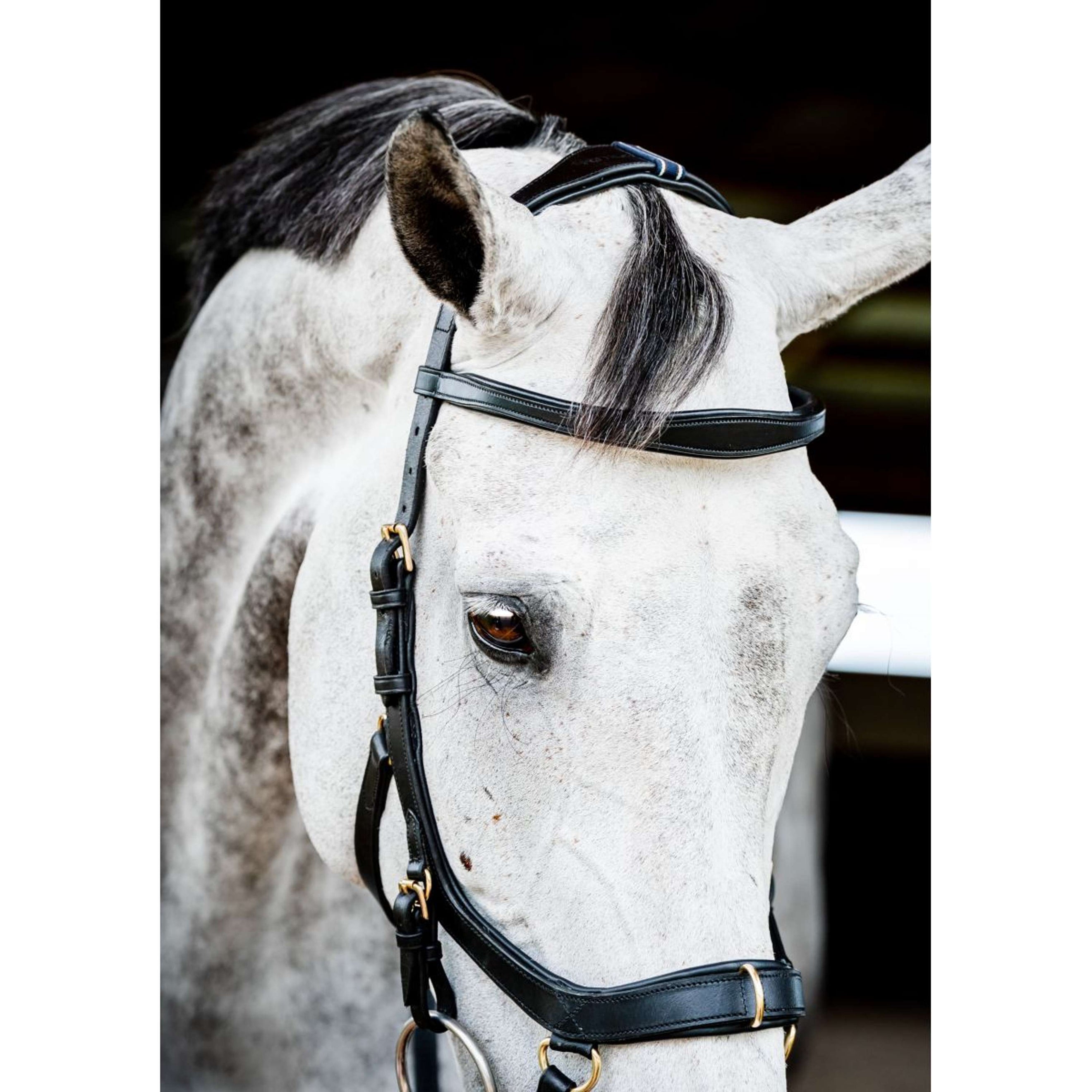 Horseware Micklem Multi Bridle Nouveau Noir Horseware Micklem Multi Bridle Nouveau Noir