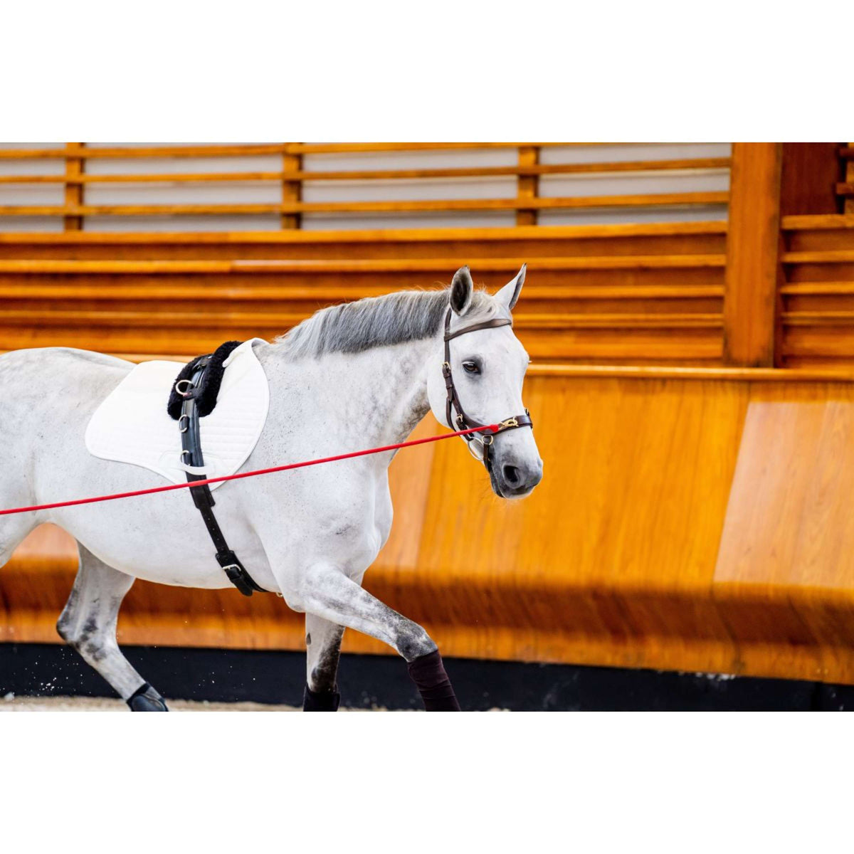 Horseware Micklem Multi Bridle Nouveau Dark Havana