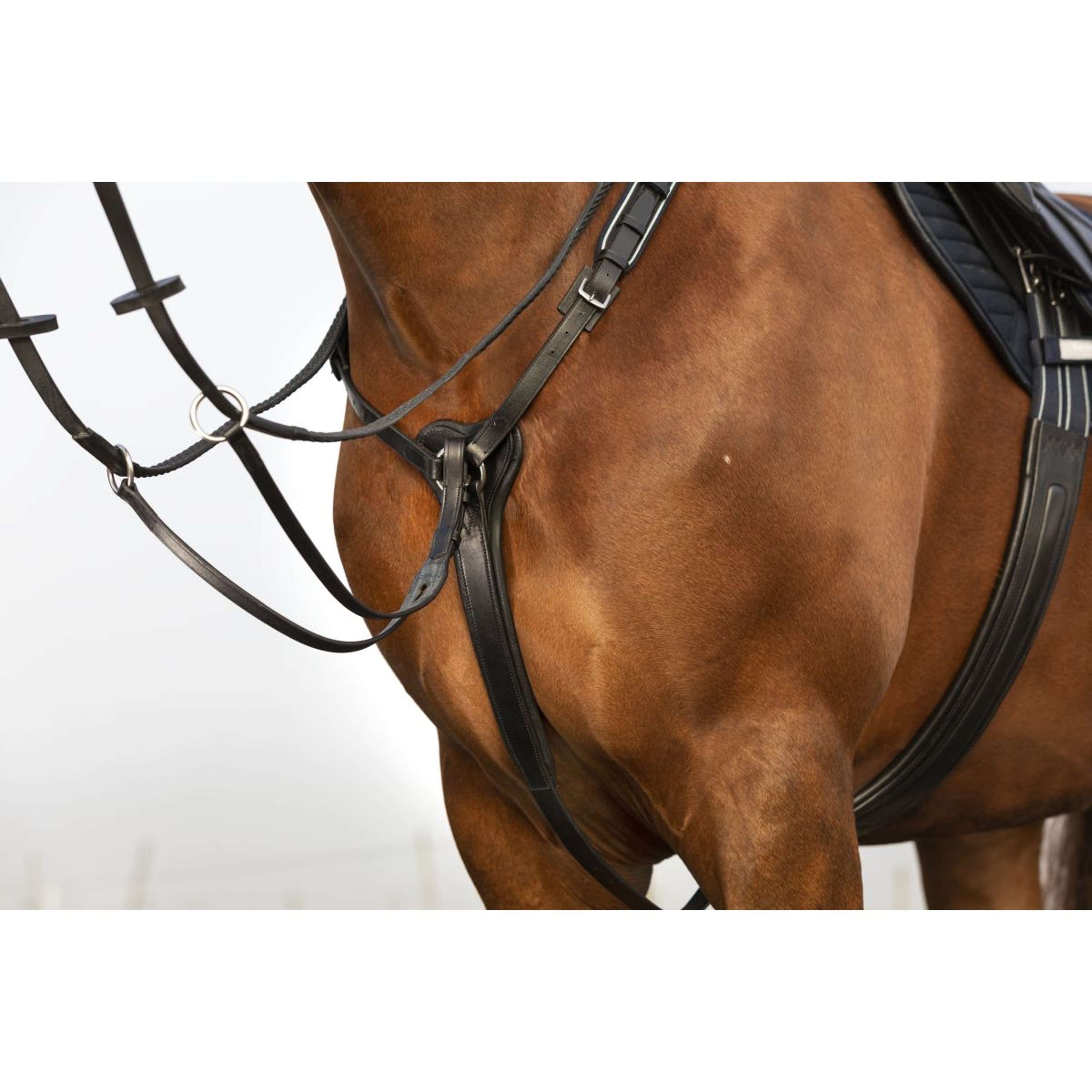 Horseware Micklem Collier de Chasse avec Martingale Noir Horseware Micklem Collier de Chasse avec Martingale Noir