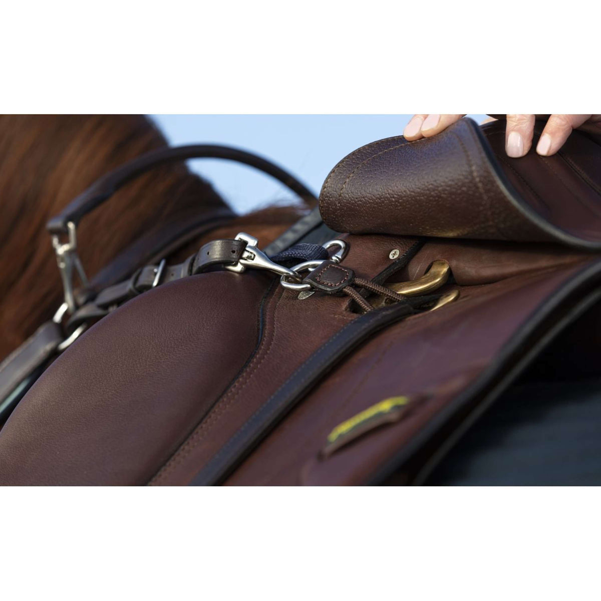 Horseware Micklem Collier de Chasse avec Martingale Marron