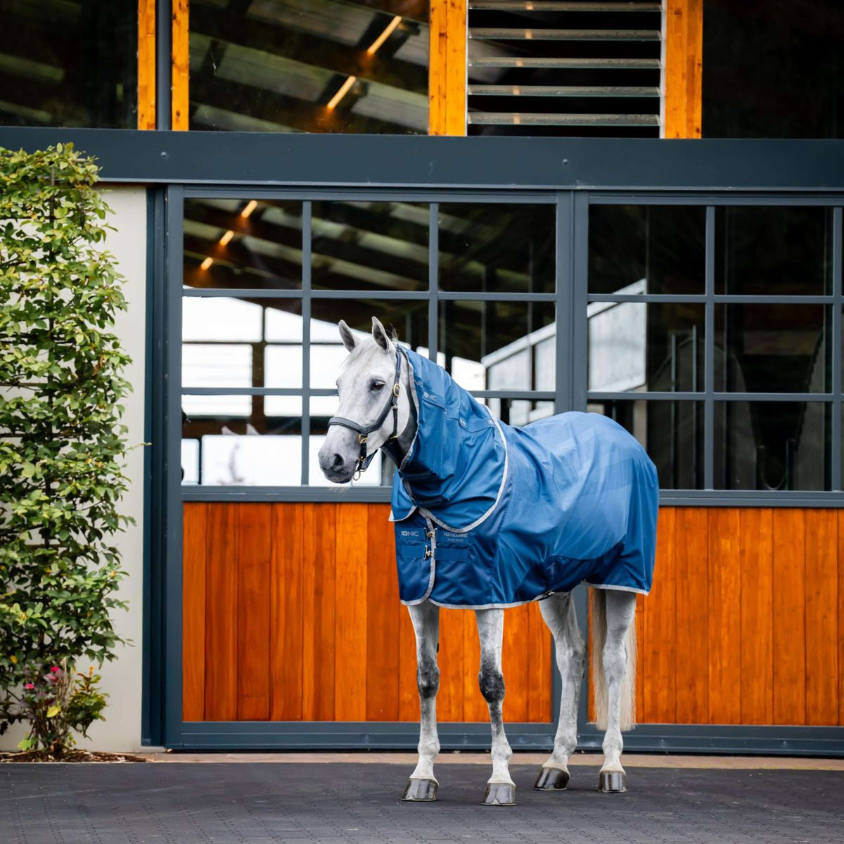 Horseware Couvre-Cou Therapy Mesh Cooler Bleu Impérial/Argent/Marine