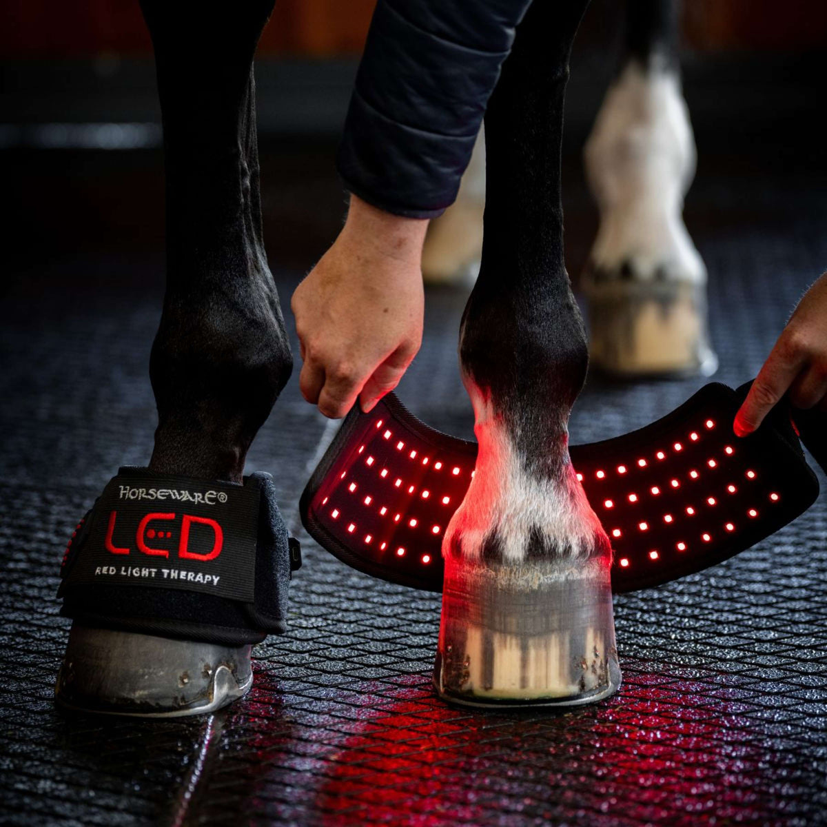 Horseware Mini Wraps LED Red Light Therapy Quad Noir/Noir