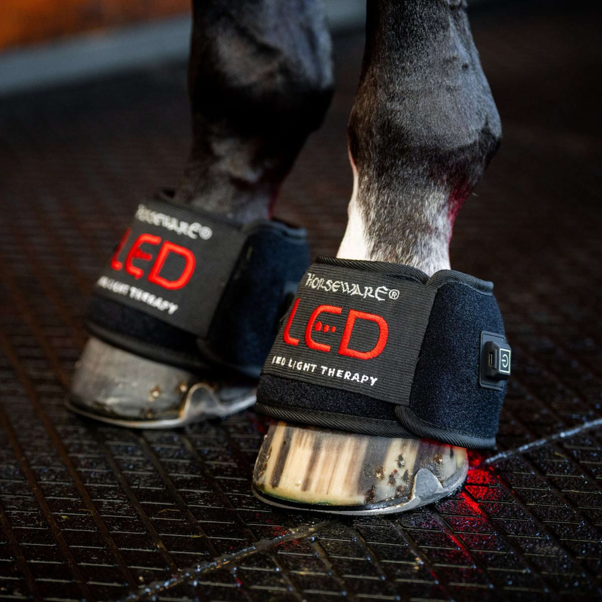 Horseware Mini Wraps LED Red Light Therapy Quad Noir/Noir