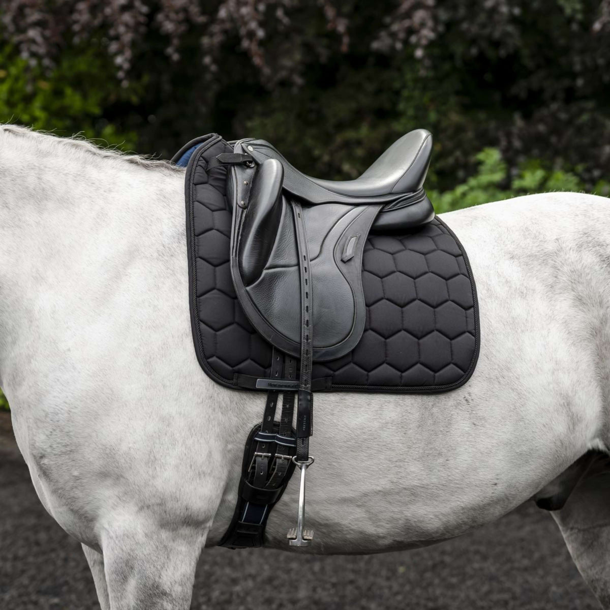 Horseware Tapis de Selle Ionic Dressage Noir