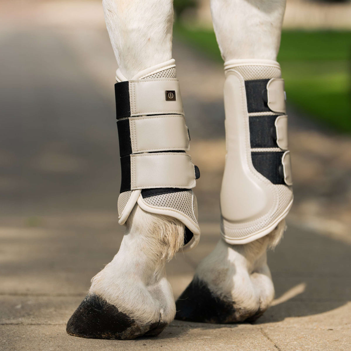 Imperial Riding Dressage Boots IRHCloud Dancer Gris