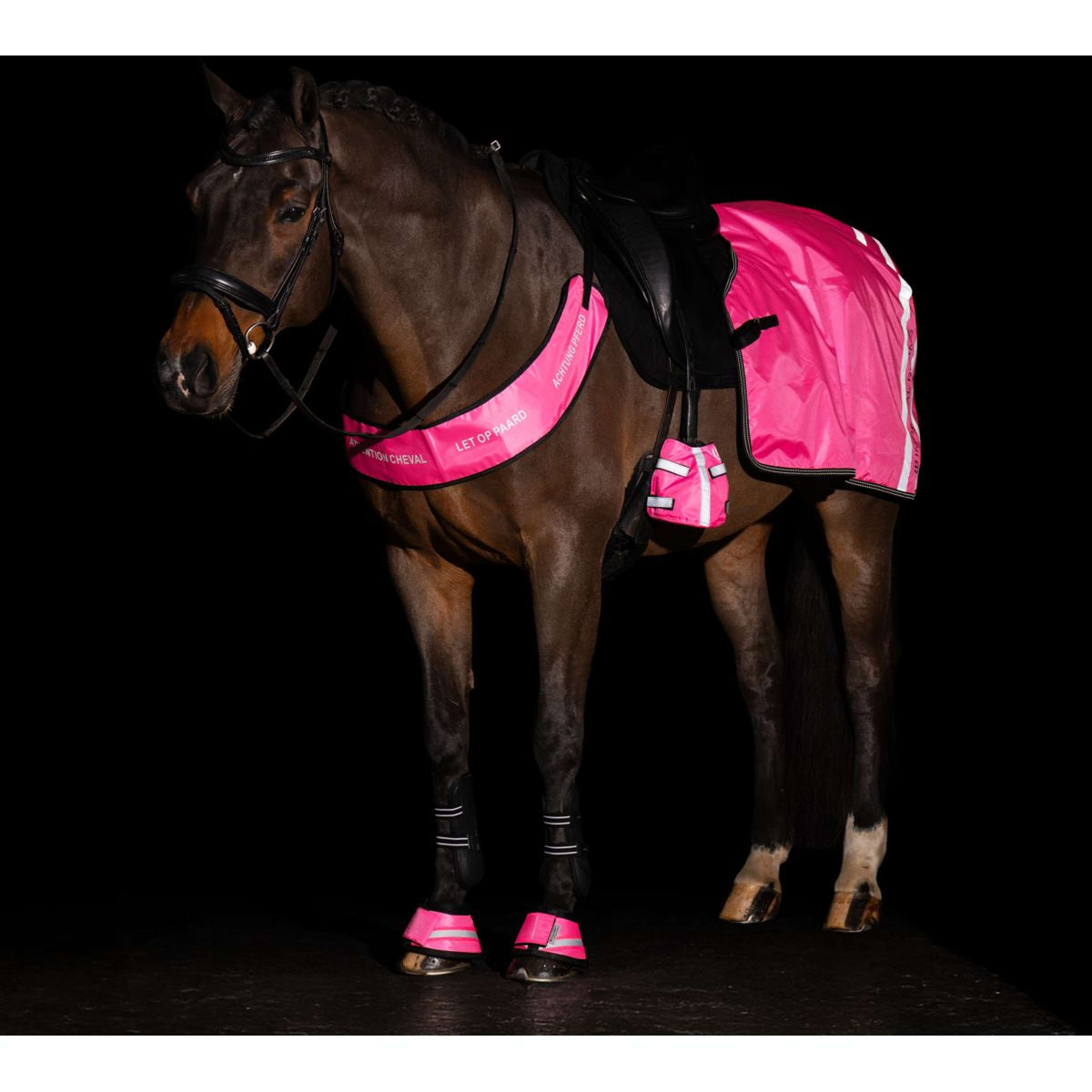 Imperial Riding Chauffe-Orteils IRHReflective Rose