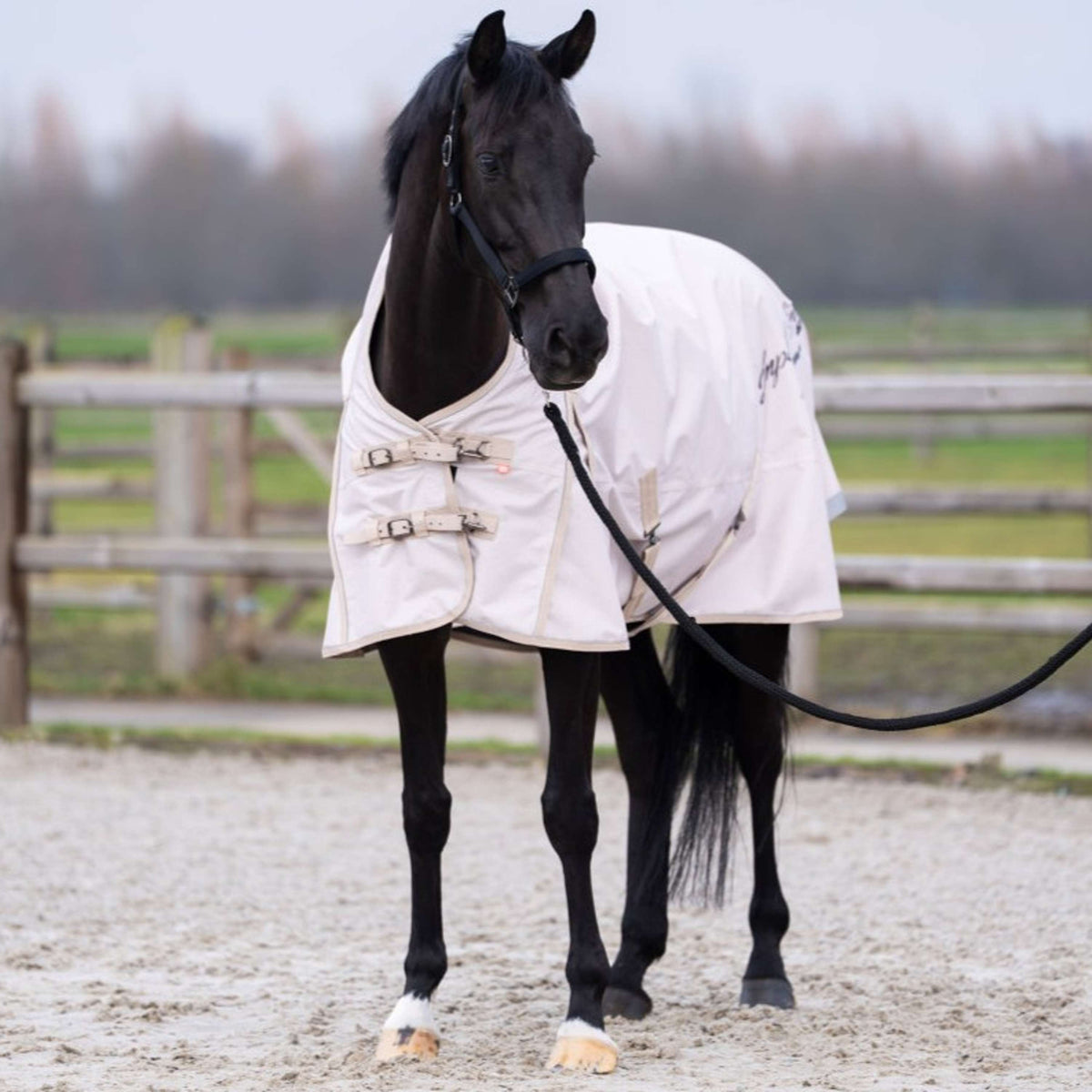 Imperial Riding Couverture d'Extérieur IRHSuper-dry AOP 0g Taupe