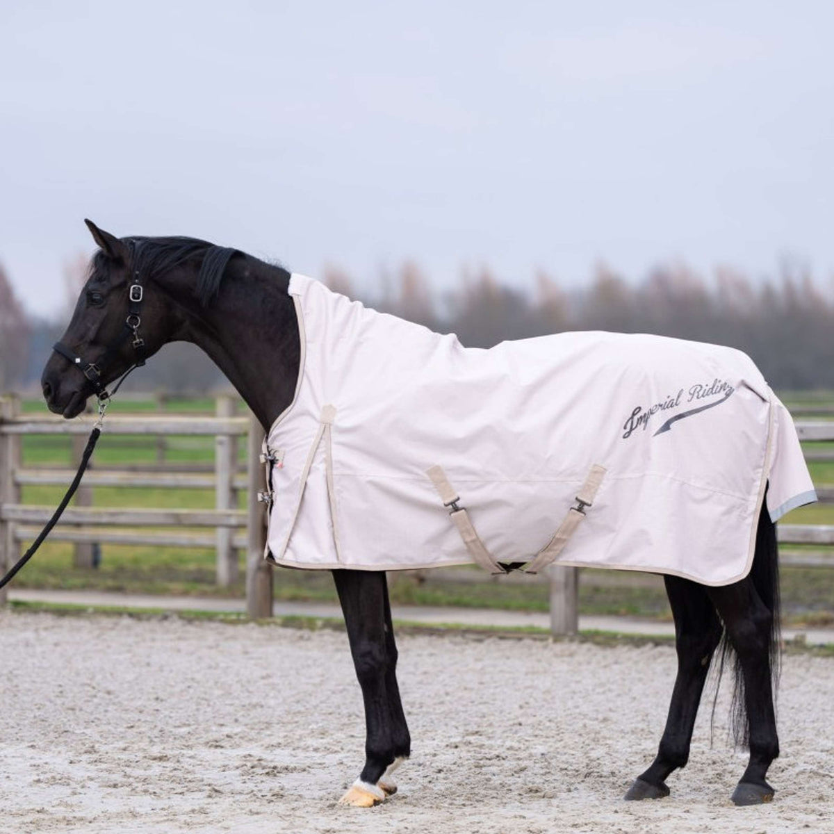 Imperial Riding Couverture d'Extérieur IRHSuper-dry AOP 0g Taupe