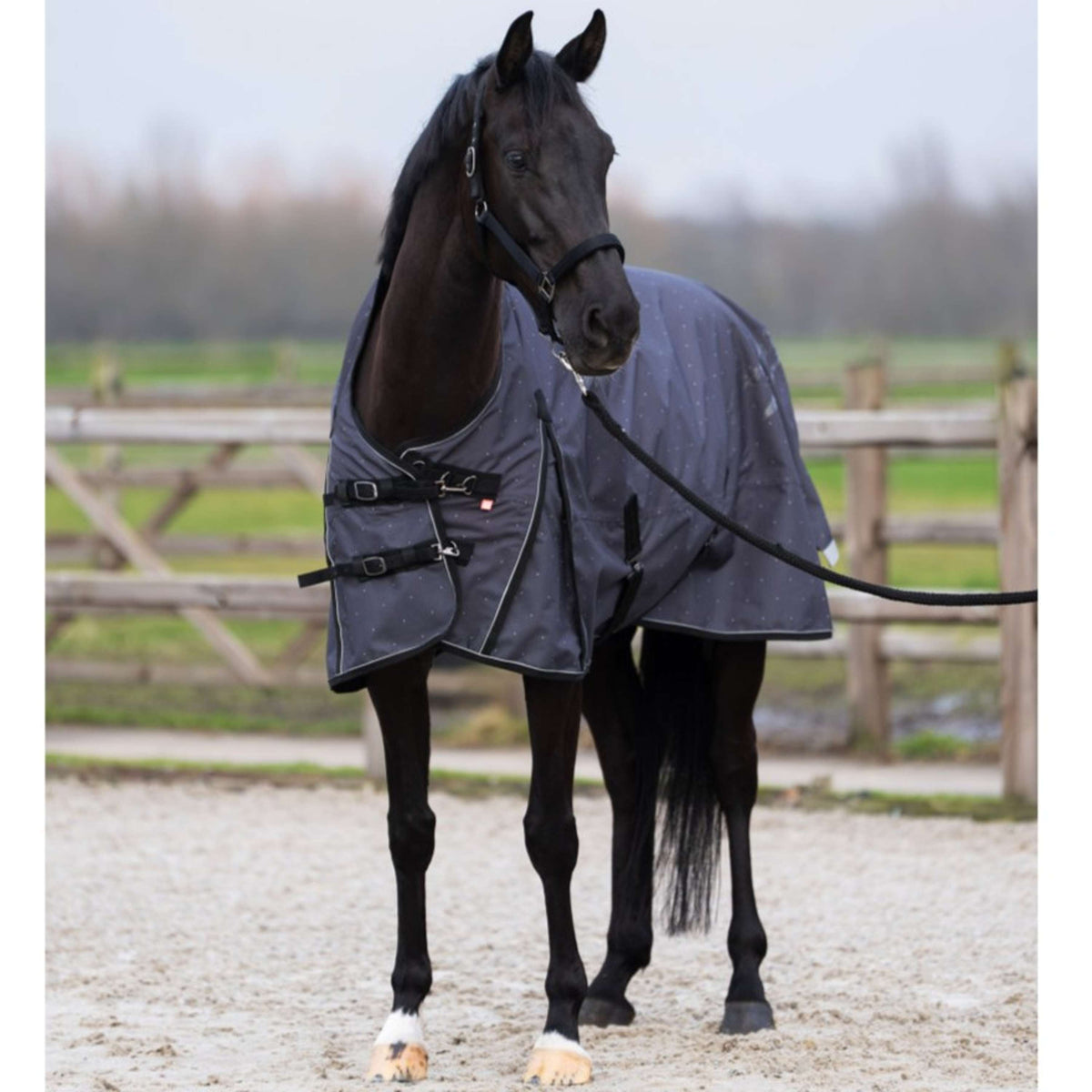 Imperial Riding Couverture d'Extérieur IRHSuper-dry AOP 100g Gris