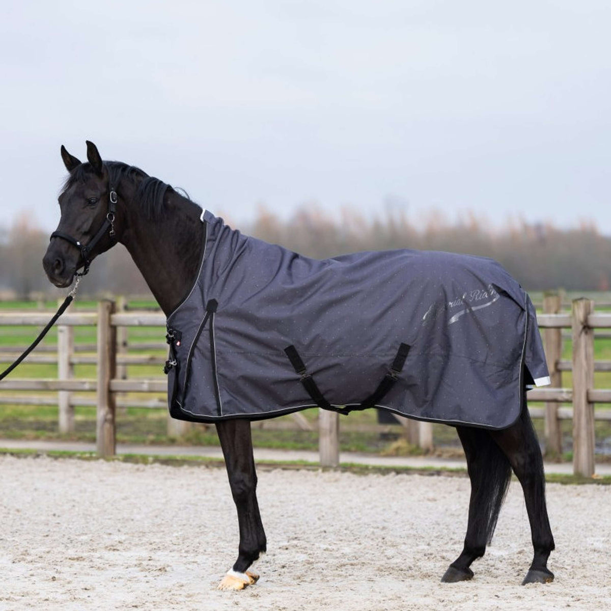Imperial Riding Couverture d'Extérieur IRHSuper-dry AOP 100g Gris