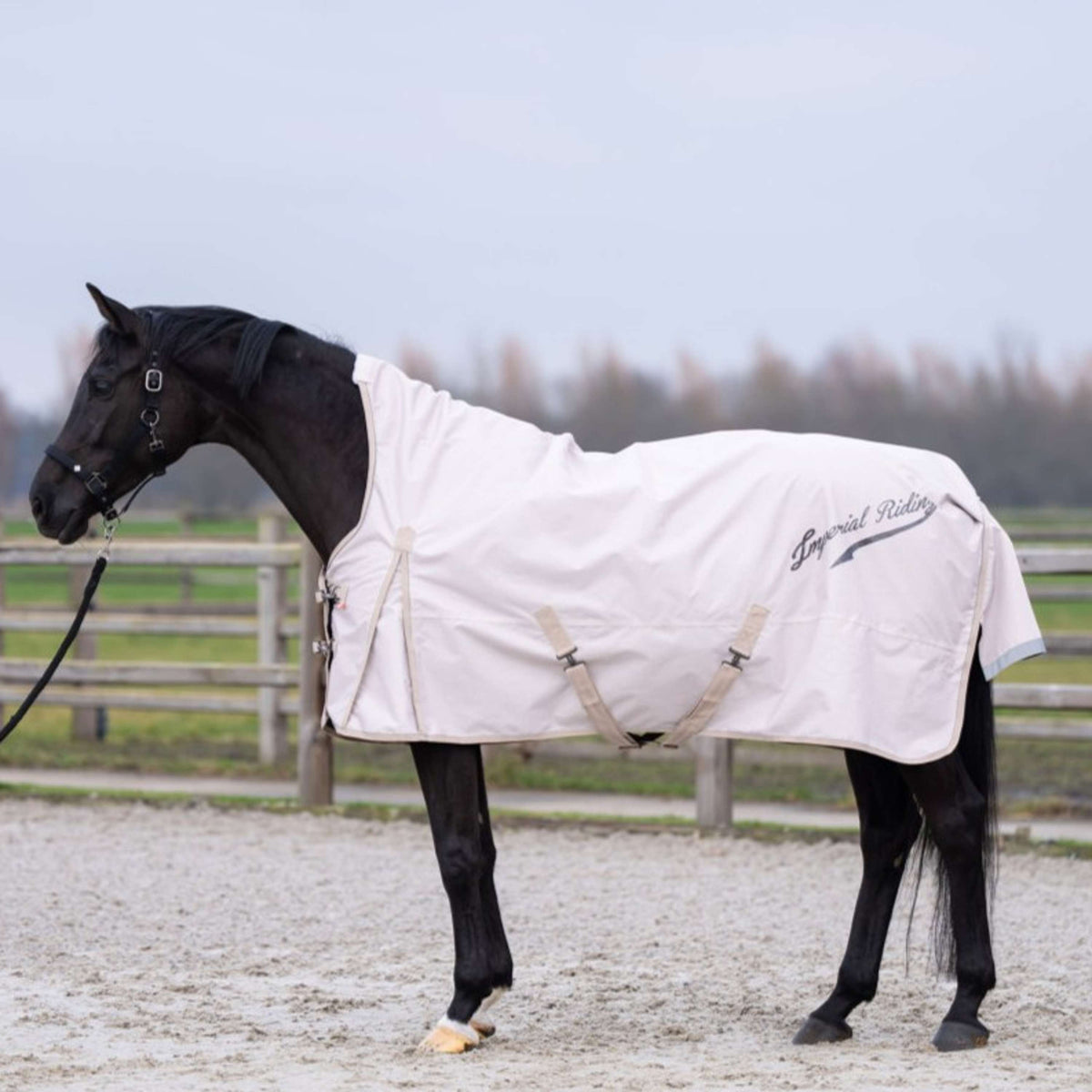 Imperial Riding Couverture d'Extérieur IRHSuper-dry AOP 100g Taupe