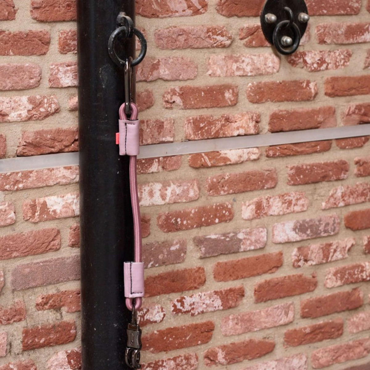 Imperial Riding Longe d'Attache pour Van Elastisch Mauve