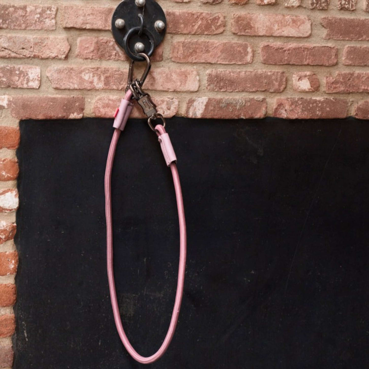 Imperial Riding Longe d'Attache pour Van Elastisch Mauve