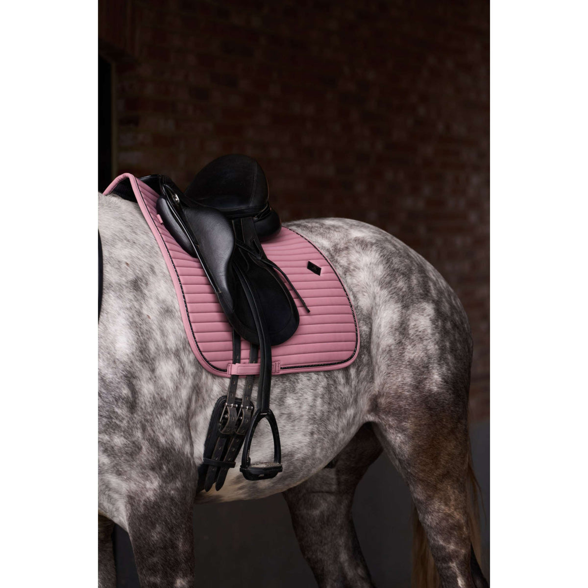 Imperial Riding Tapis de Selle IRHJosie Dressage Mauve