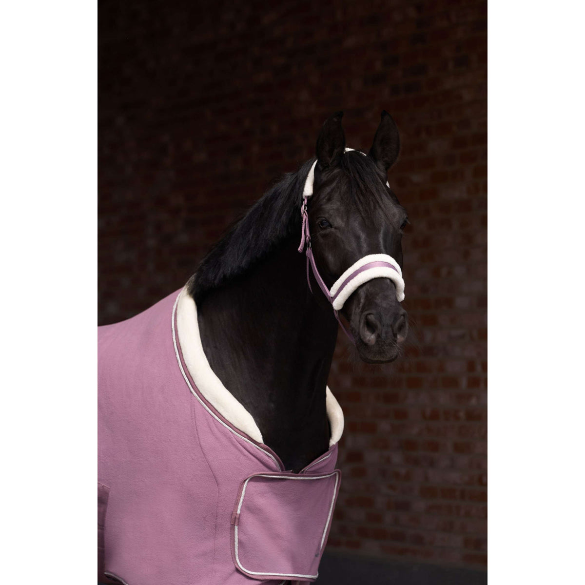 Imperial Riding Licol IRHJewel Mauve